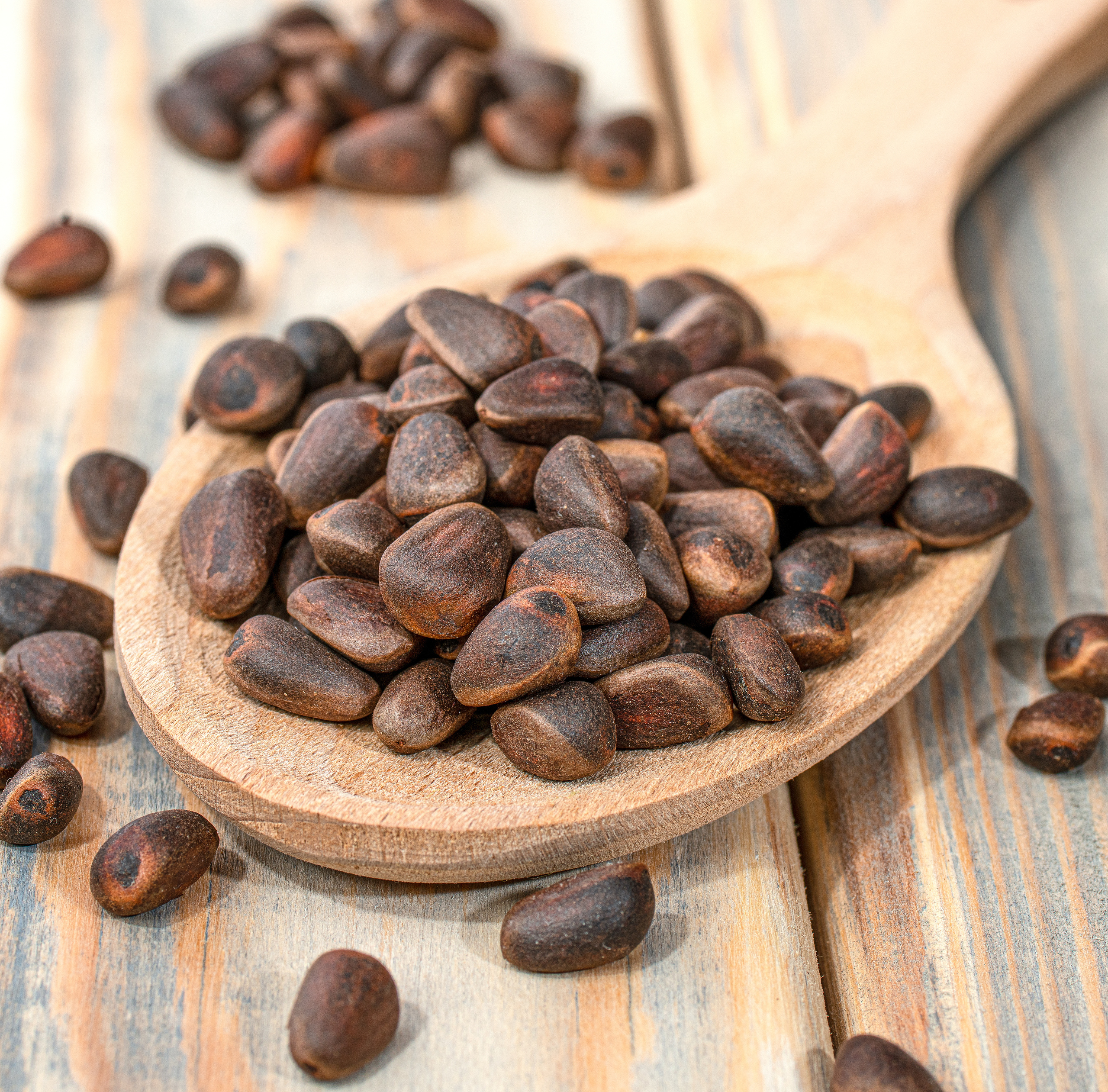 Фотограф орехов