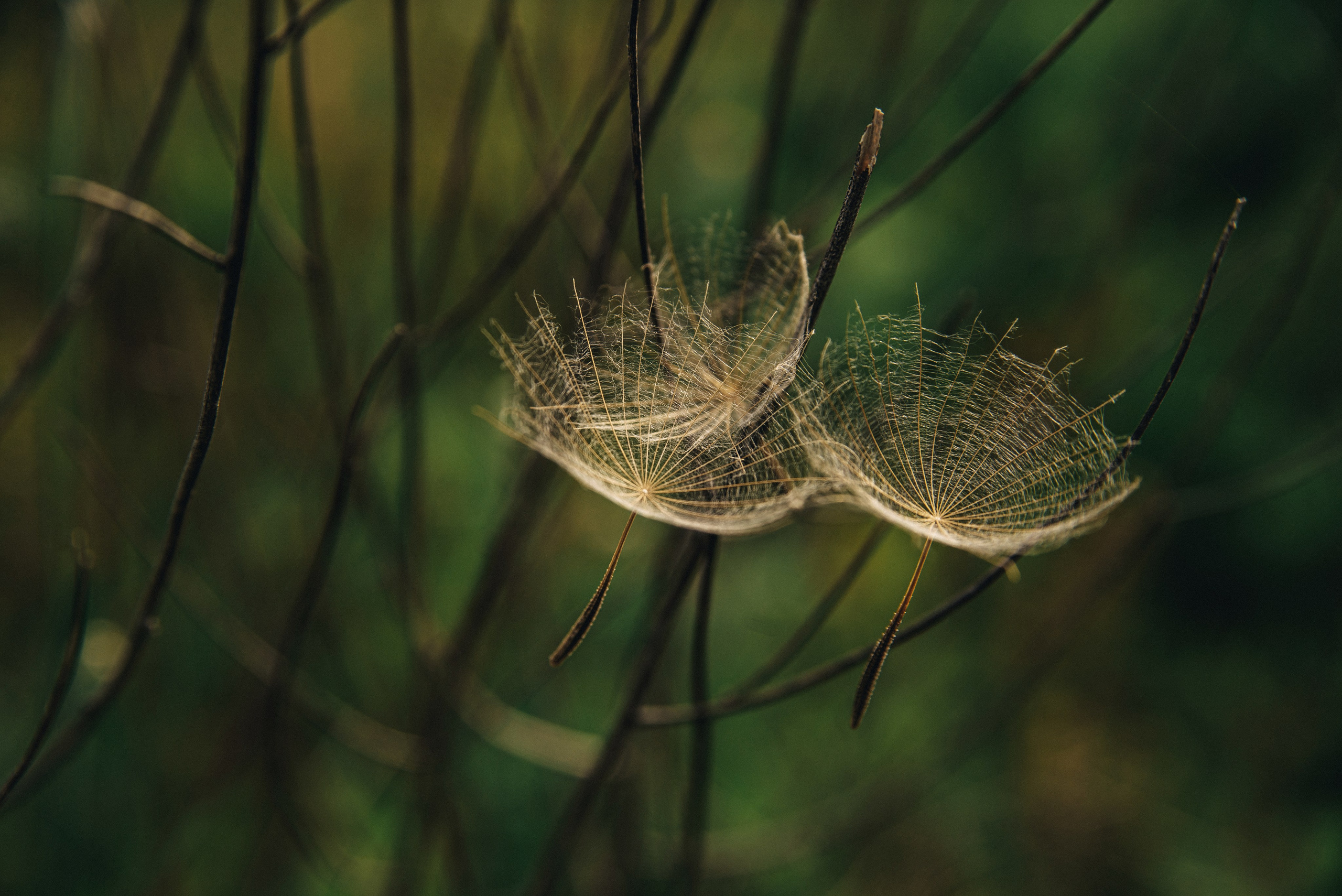 Фотопленэр — Подвальские террасы и болото. Фотообъединение Самарского областного отделения Союза журналистов России