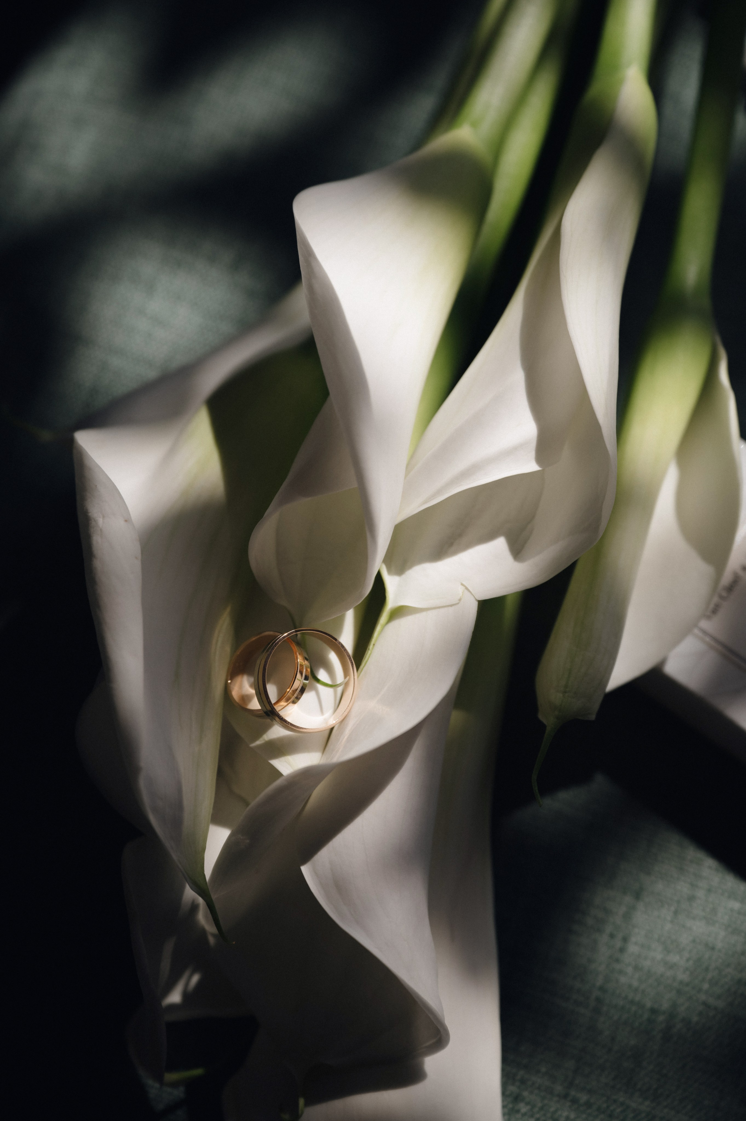 Скоро на сайте. Свадебный фотограф в Минске Тагай Наталья