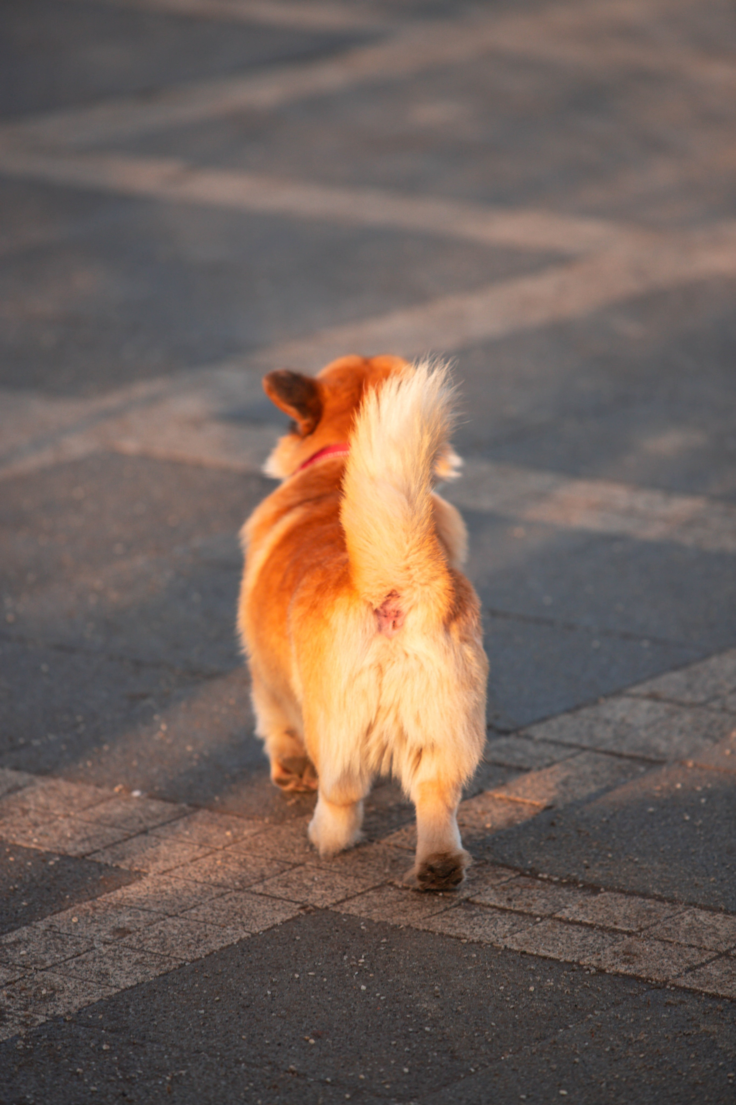5 верст_Бабушкинская. Александра Мельниченко/ Бегающий фотограф