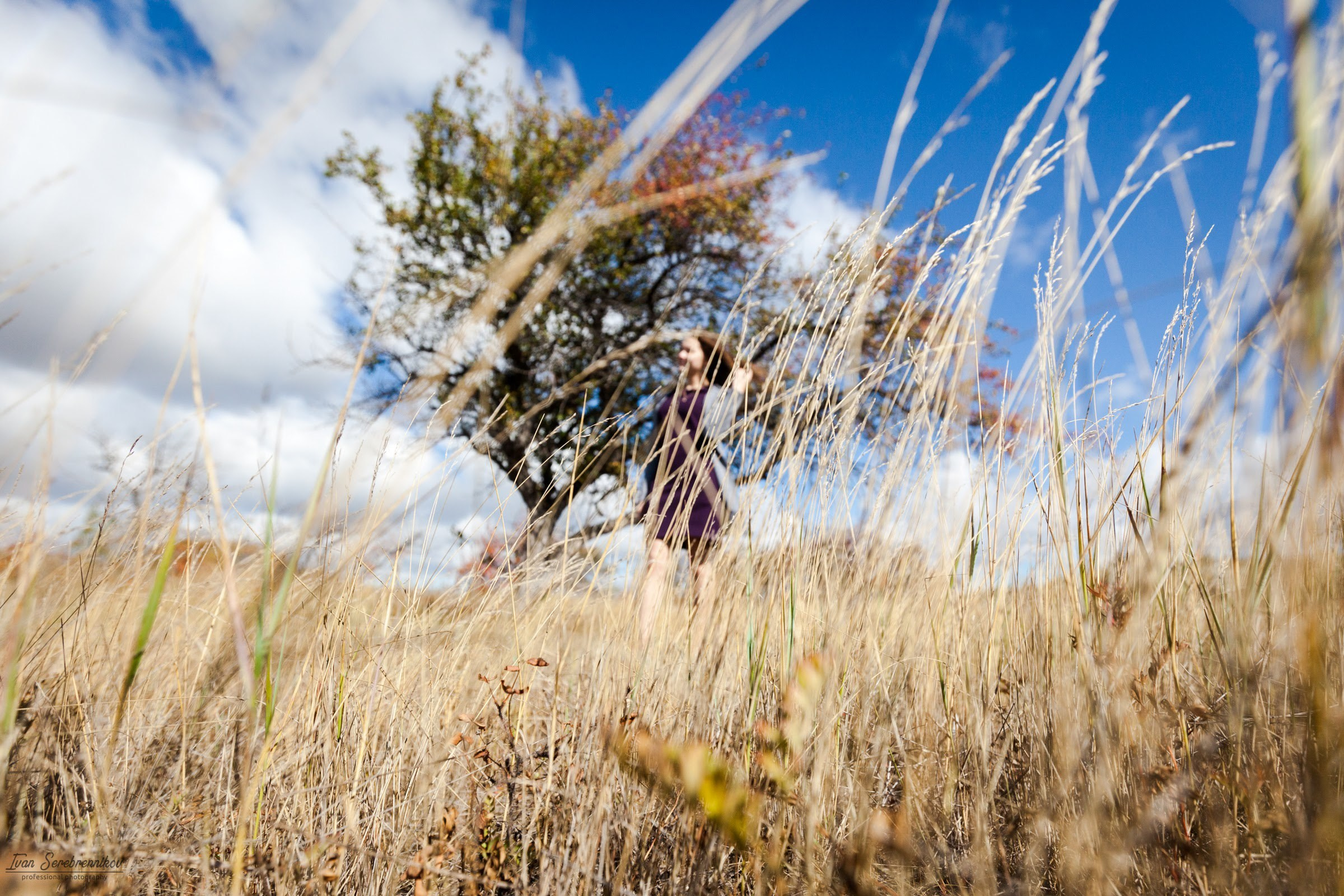 Лавстори. Серия 54