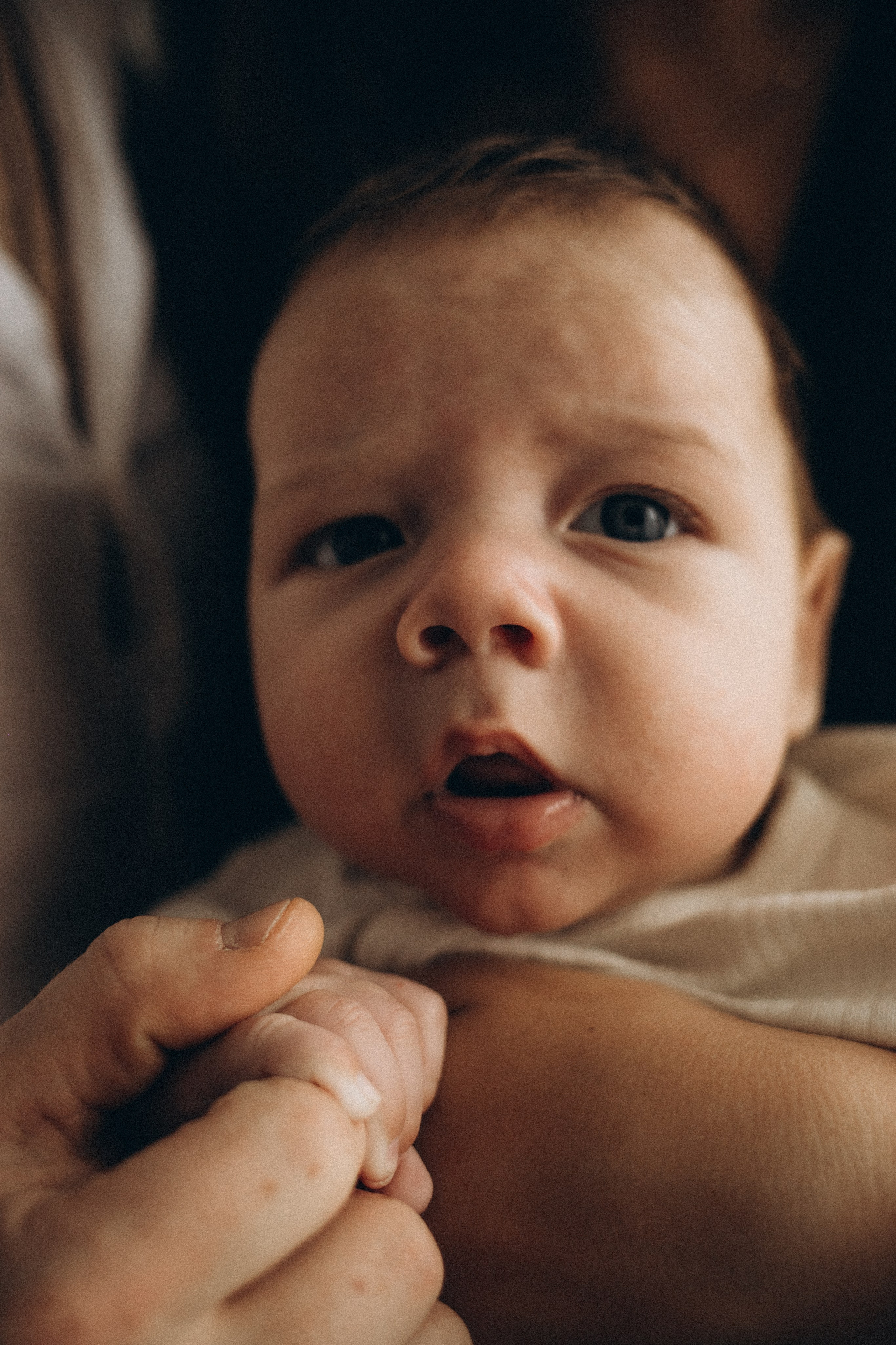 Кирилл, Лена и Матвей. Семейный и свадебный фотограф Анна Кожокарь
