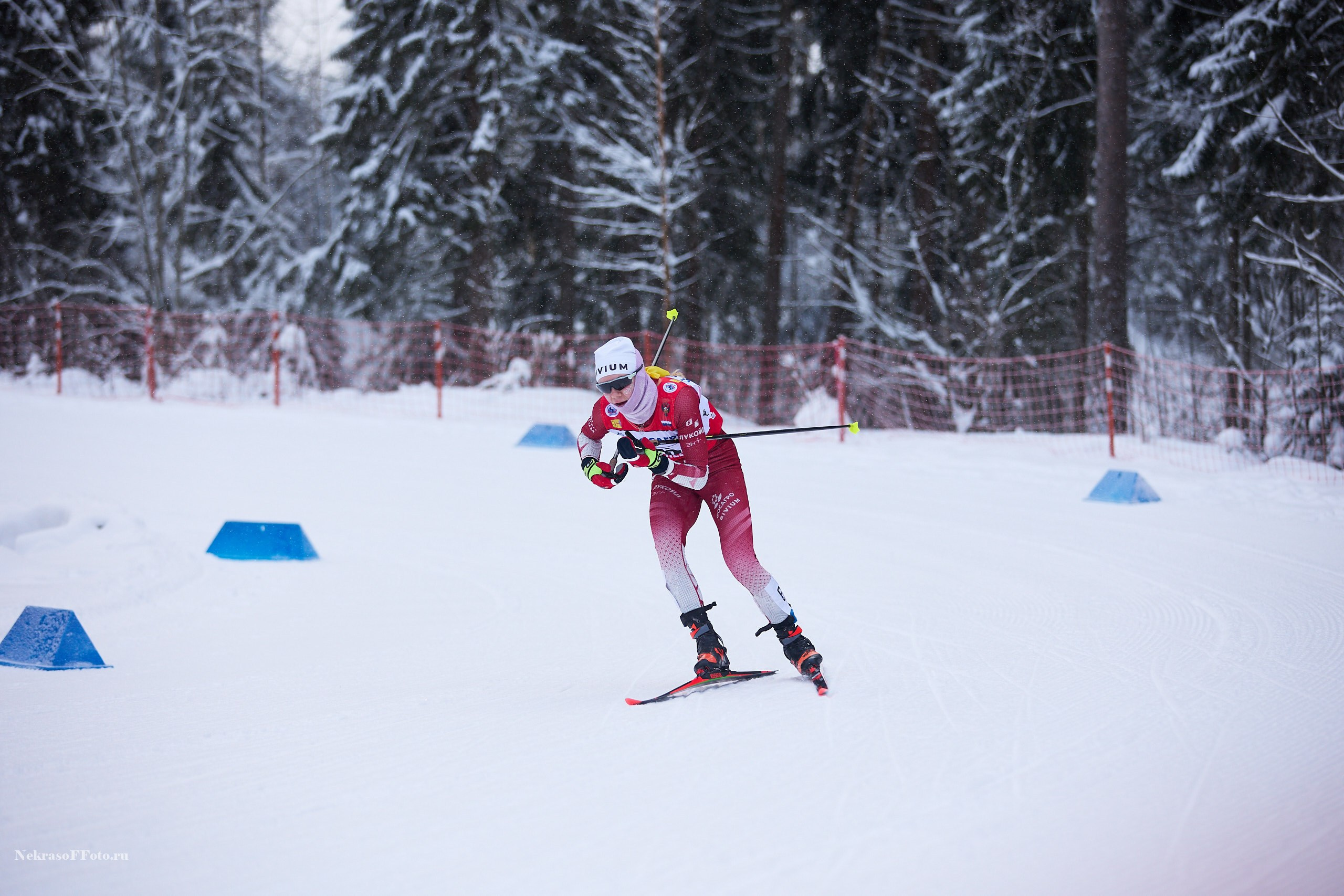 Кубок России по Лыжным гонкам. Спортивный фотограф Некрасов Денис