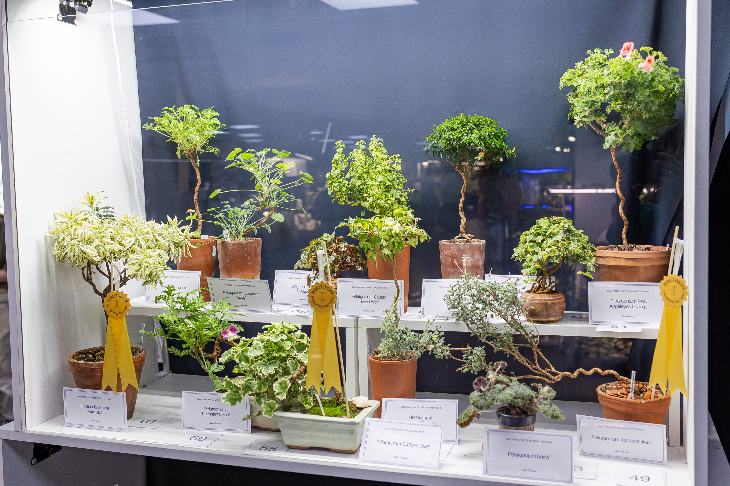 Монстериум апрель 2026. Александра Куликова фотограф, Москва