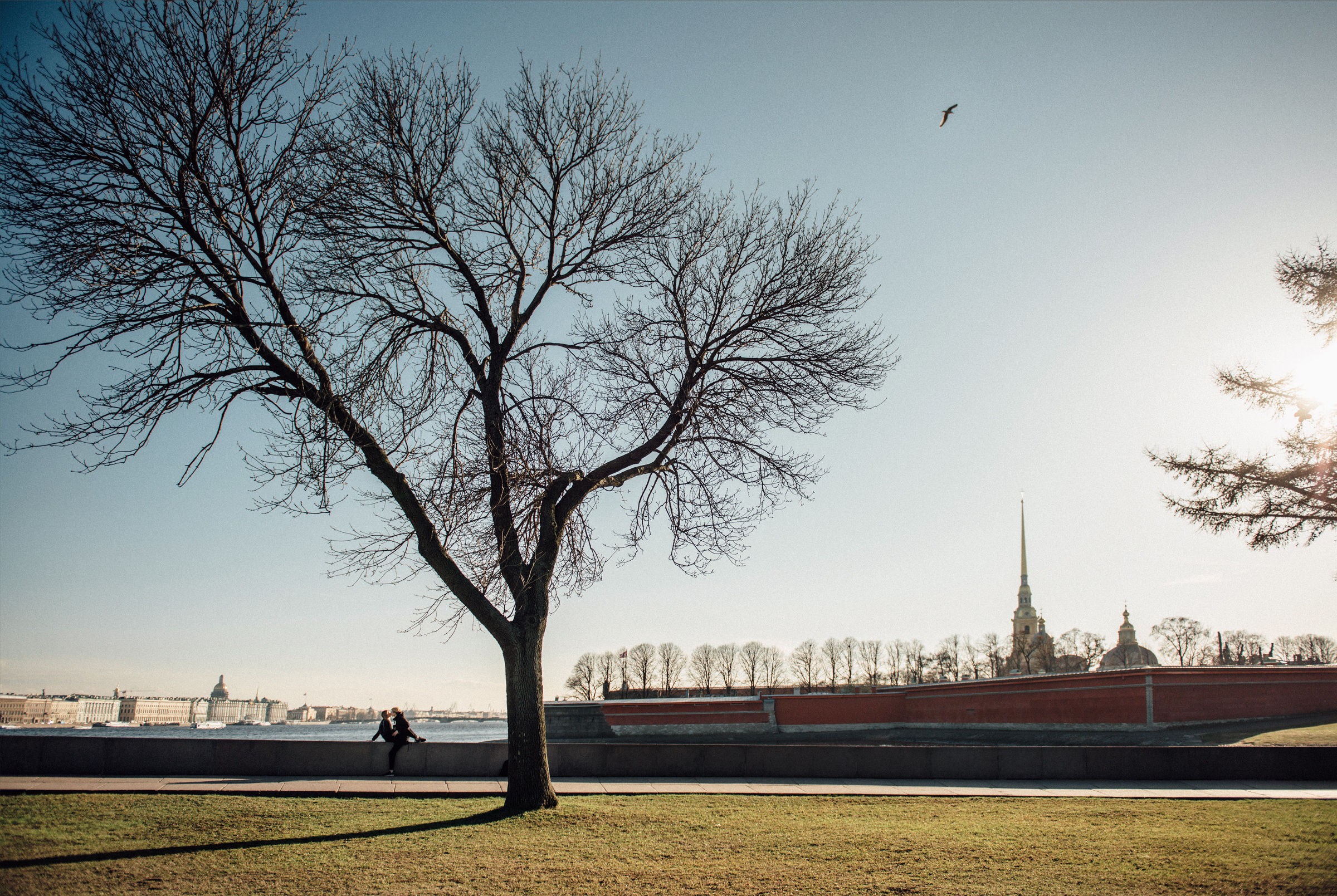 Фотосессия Love Story для Алёны и Никиты. Свадебный фотограф в Санкт-Петербурге Венера Ахметова