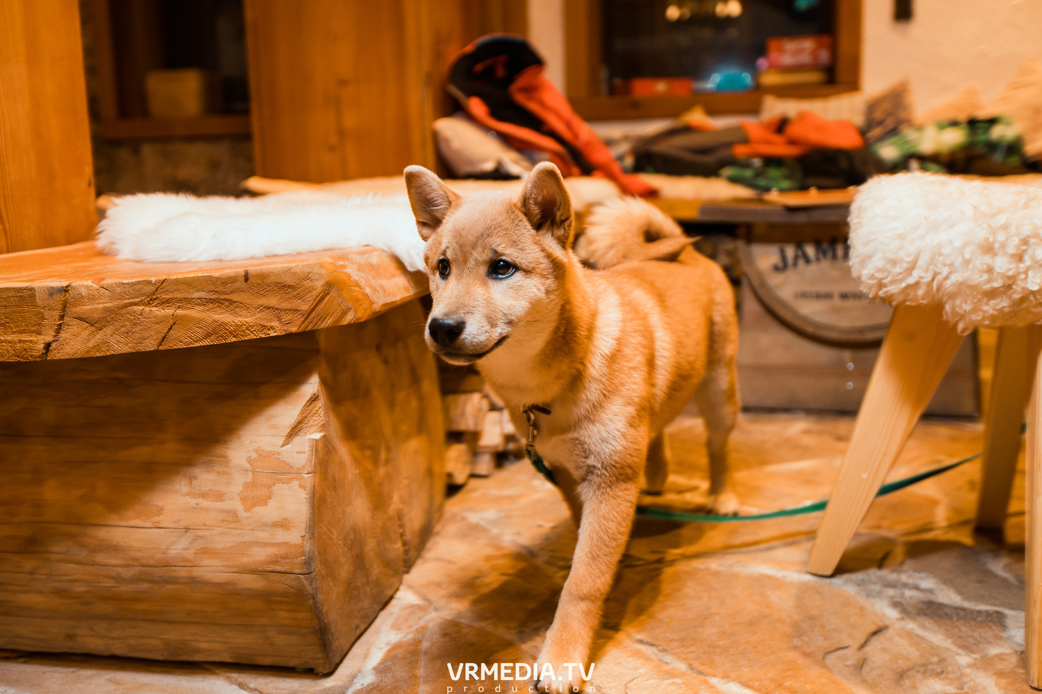 Выходные в «Alpen Club»