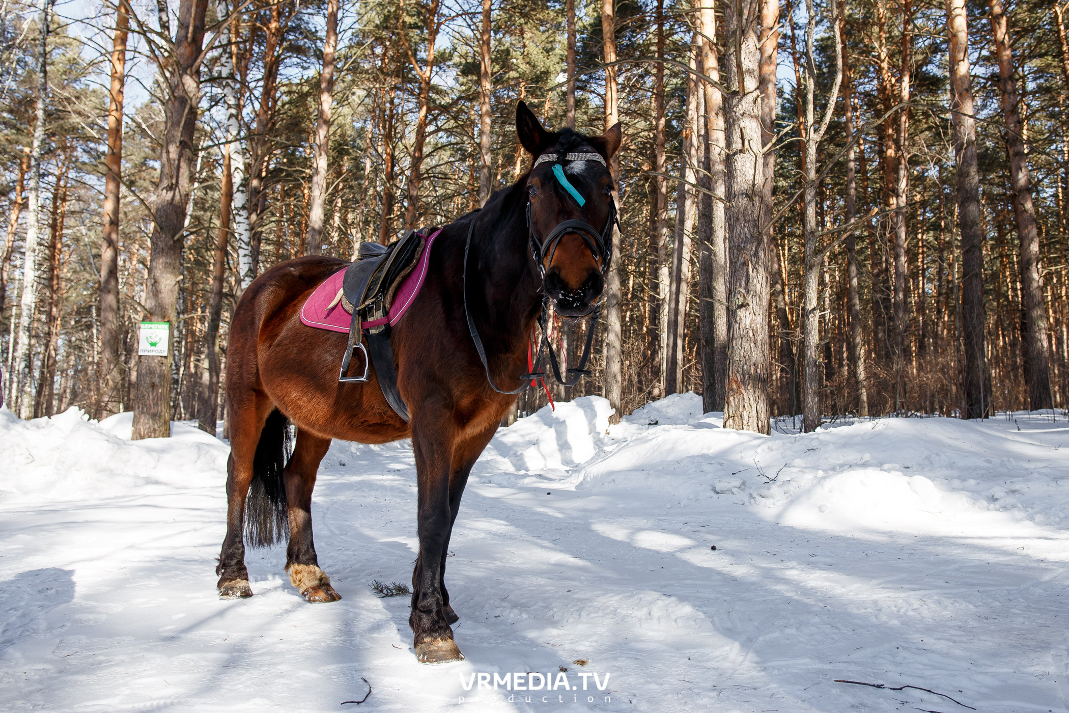Большая масленица в эко-отеле «Лукоморье»
