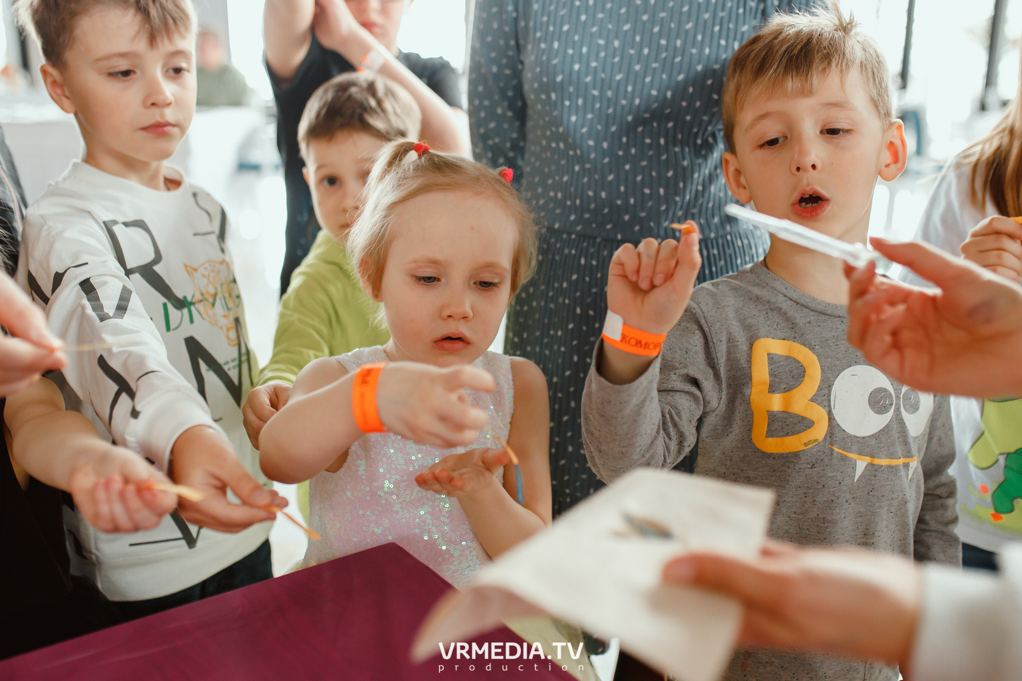 Детский праздник в эко-отеле «Лукоморье»