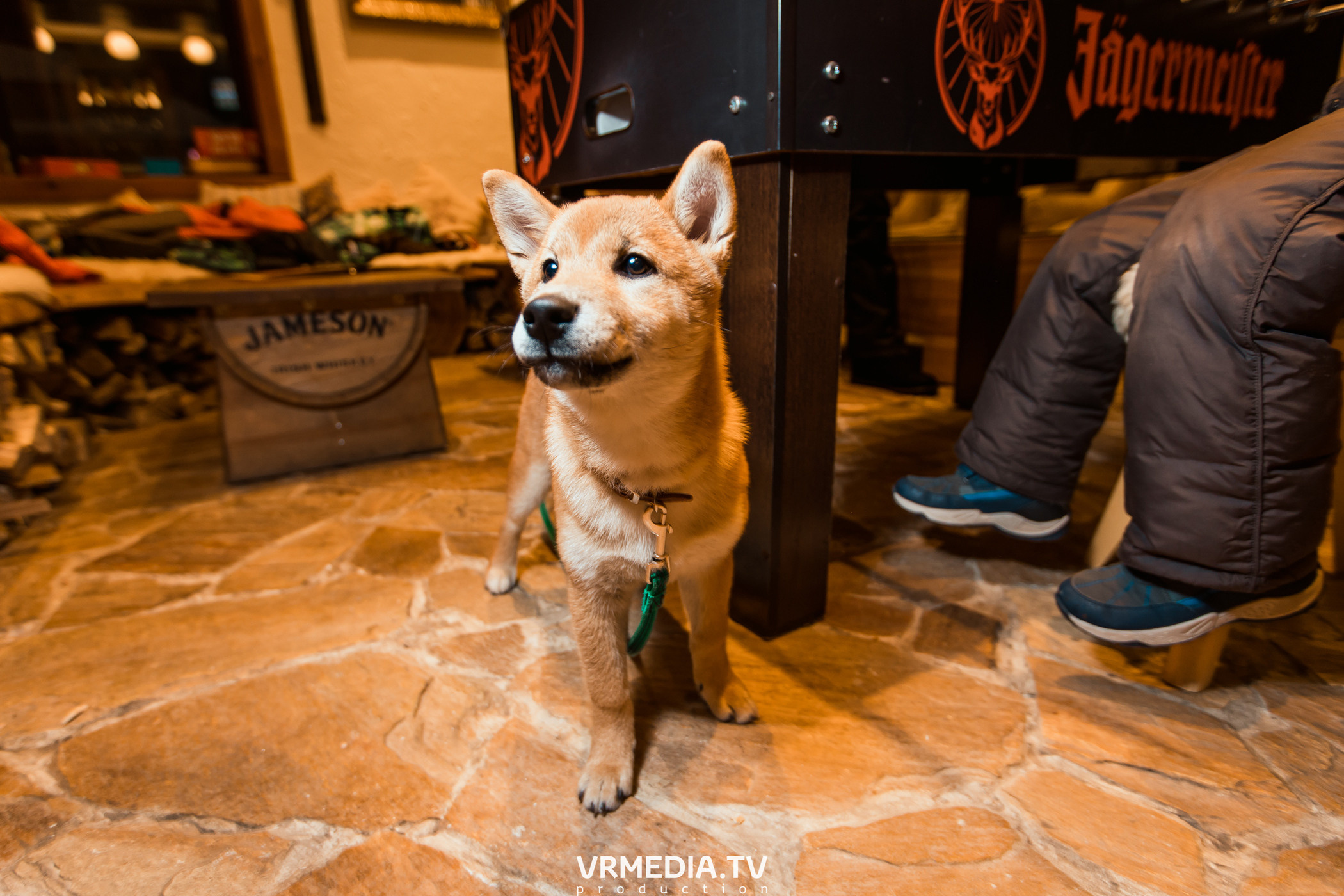 Выходные в «Alpen Club»