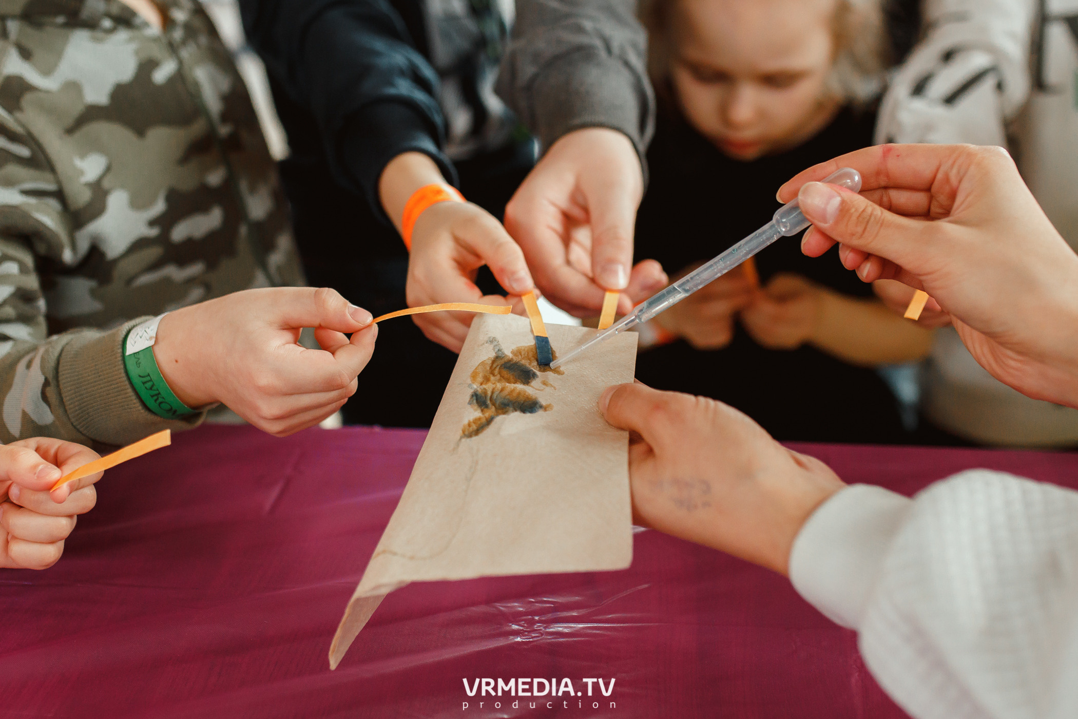 Детский праздник в эко-отеле «Лукоморье»