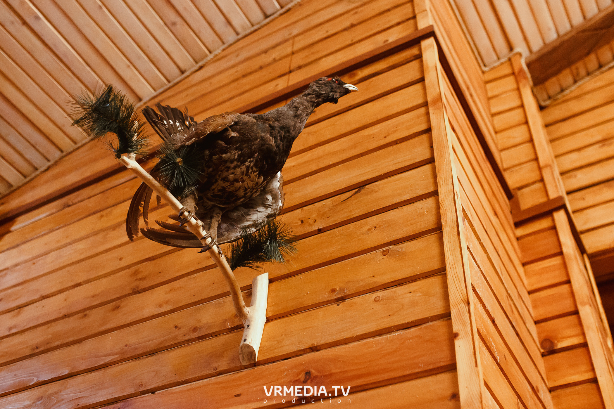 Выходные «У Петровича»