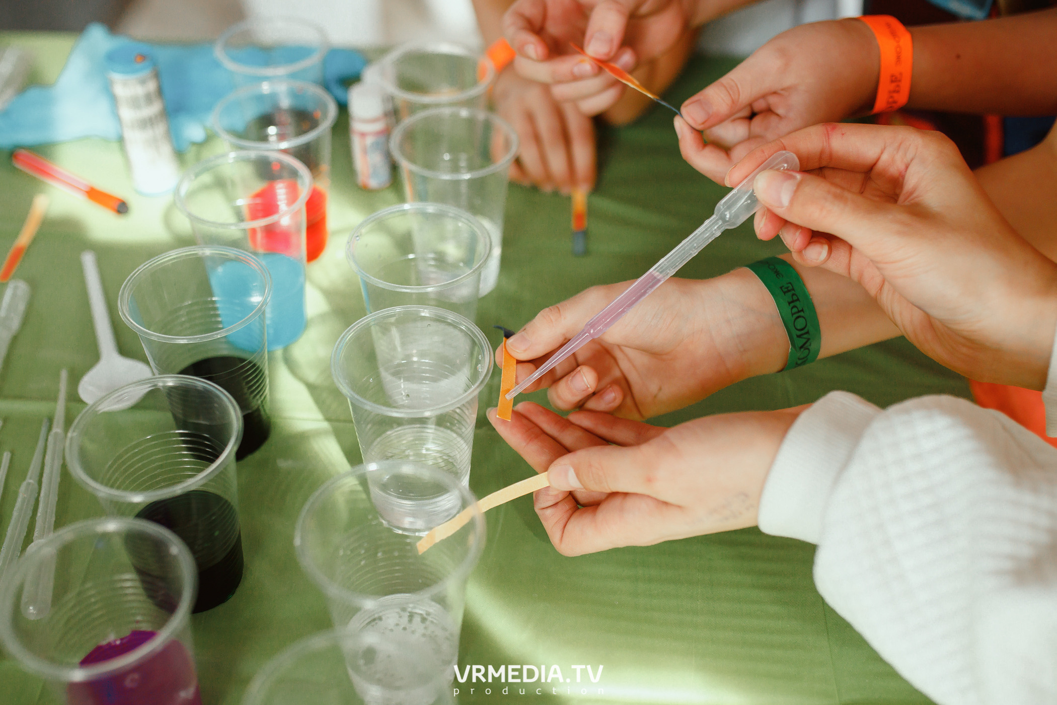 Детский праздник в эко-отеле «Лукоморье»