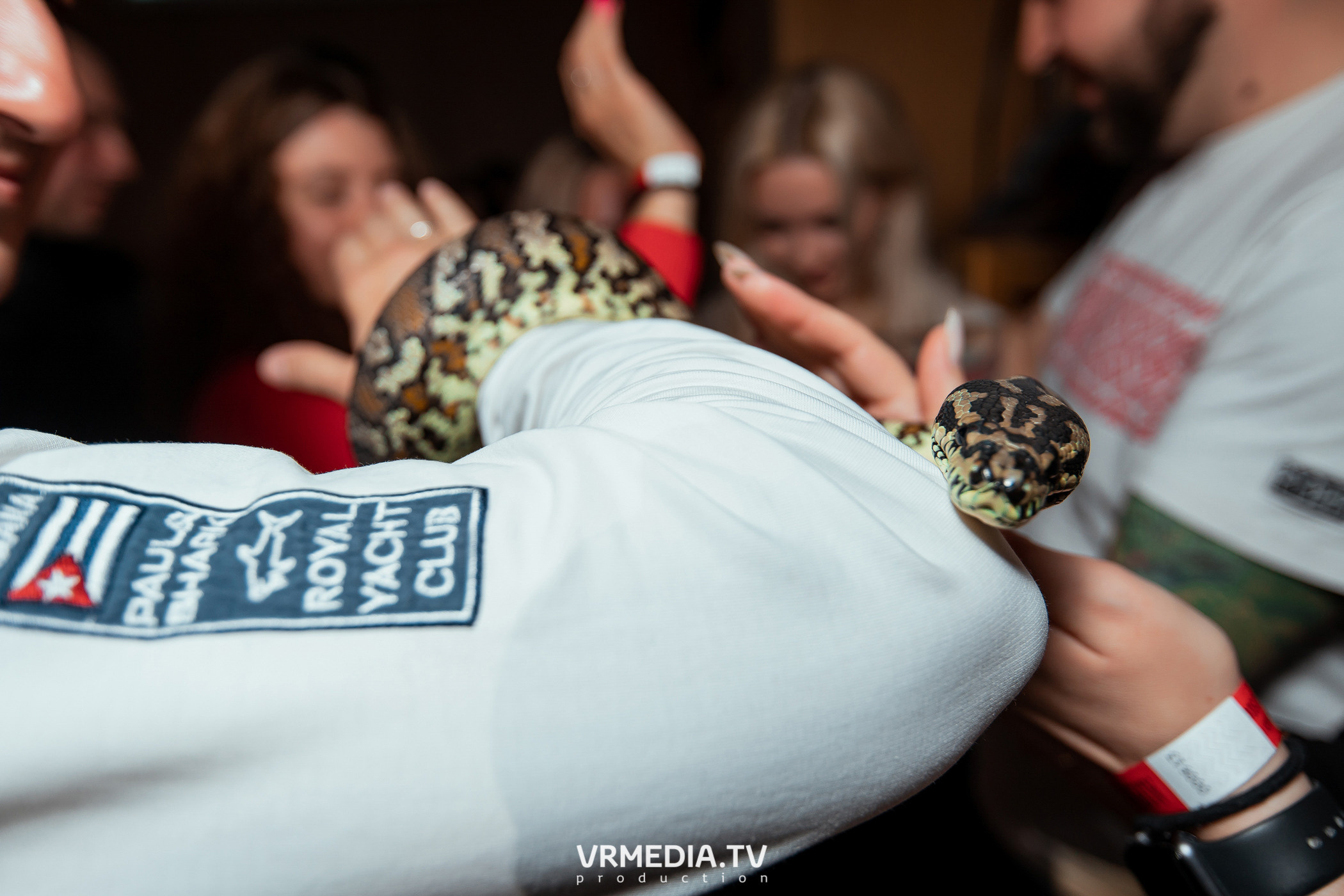 Выходные в «Alpen club»