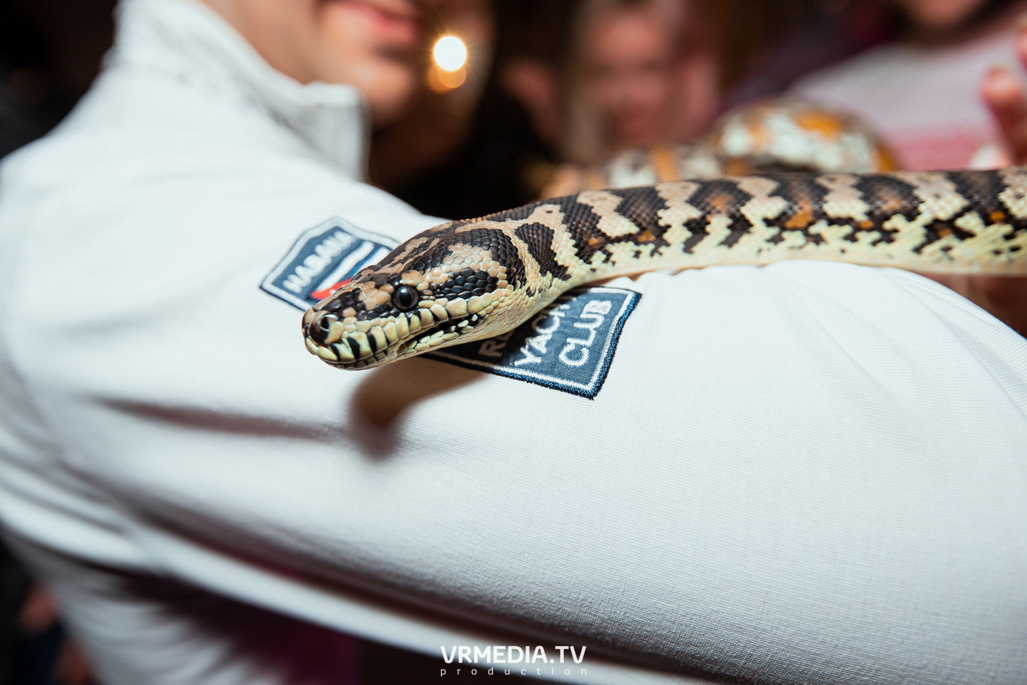 Выходные в «Alpen club»