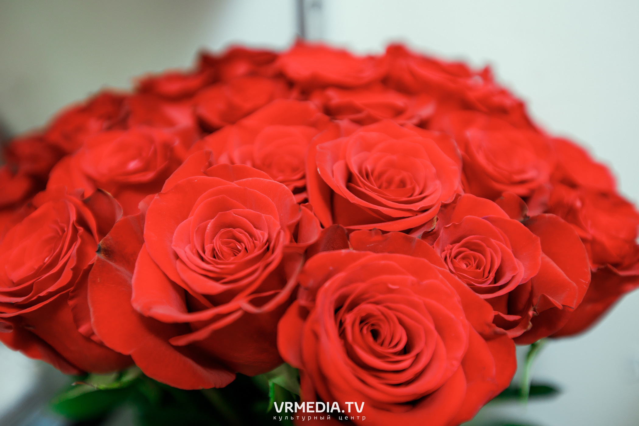 Выходные в «Alpen club»