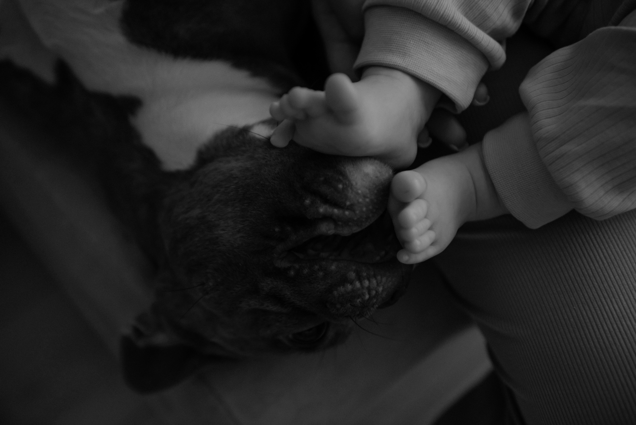 Катя. Свадебный, портретный, фотограф беременности в Нижнем Новгороде Алина Зиновьева