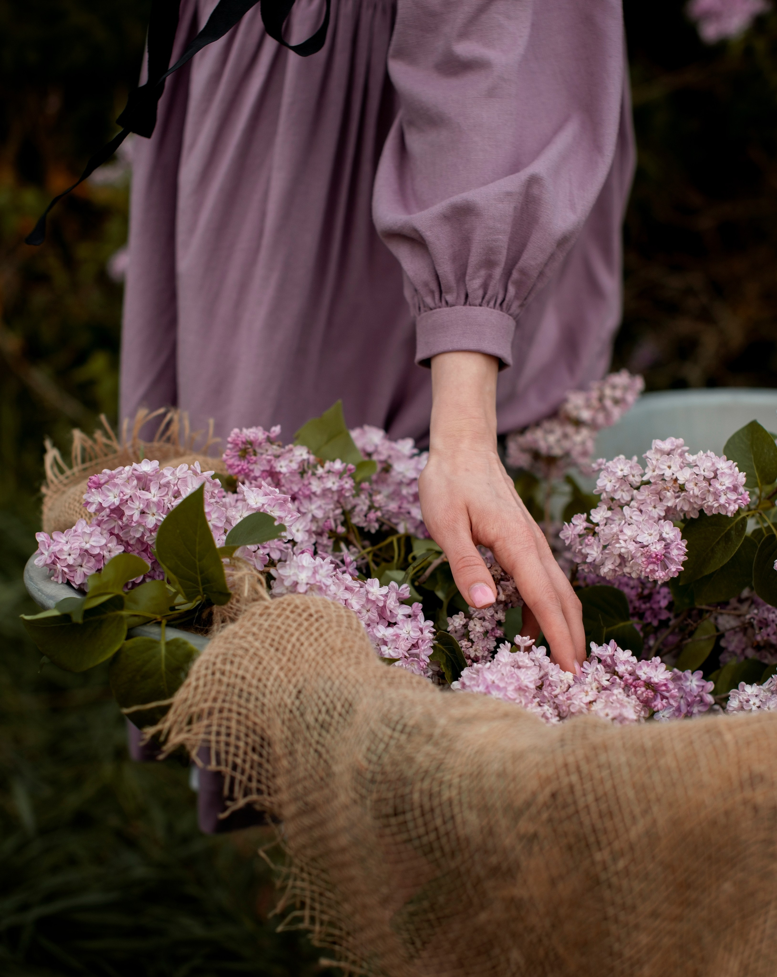 Сирень. Ира. Ваш фотограф в Крыму
