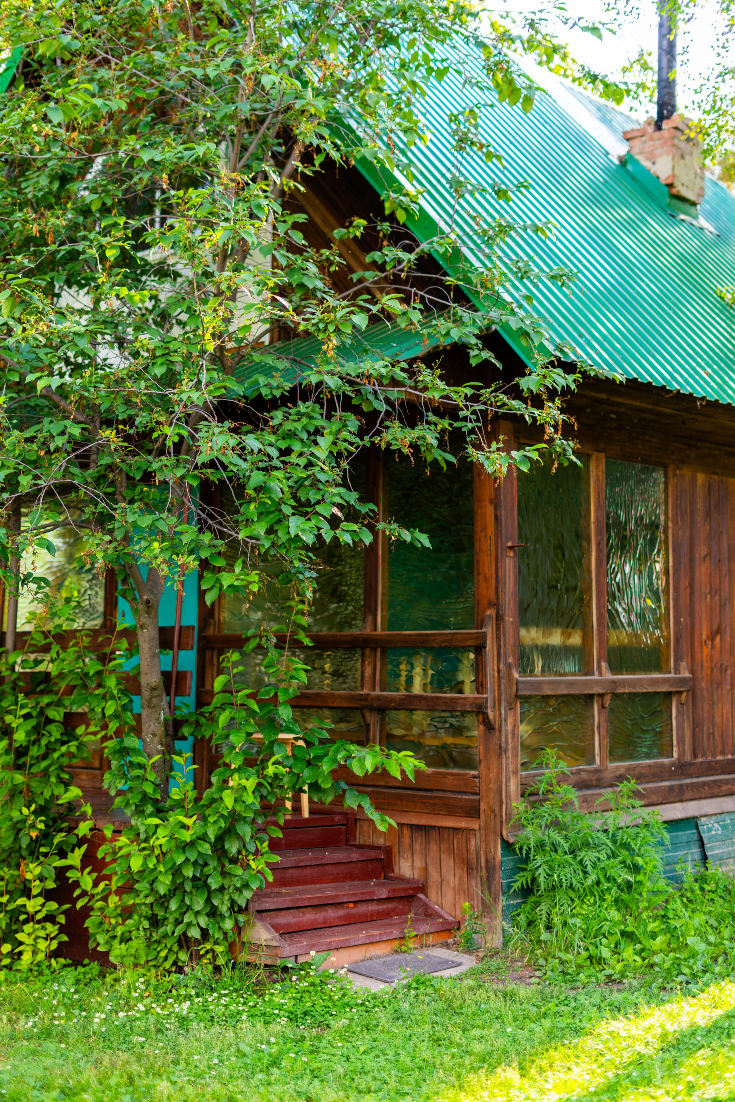 Полянка. Анастасия Паршукова — фотограф Шерегеш Новосибирск