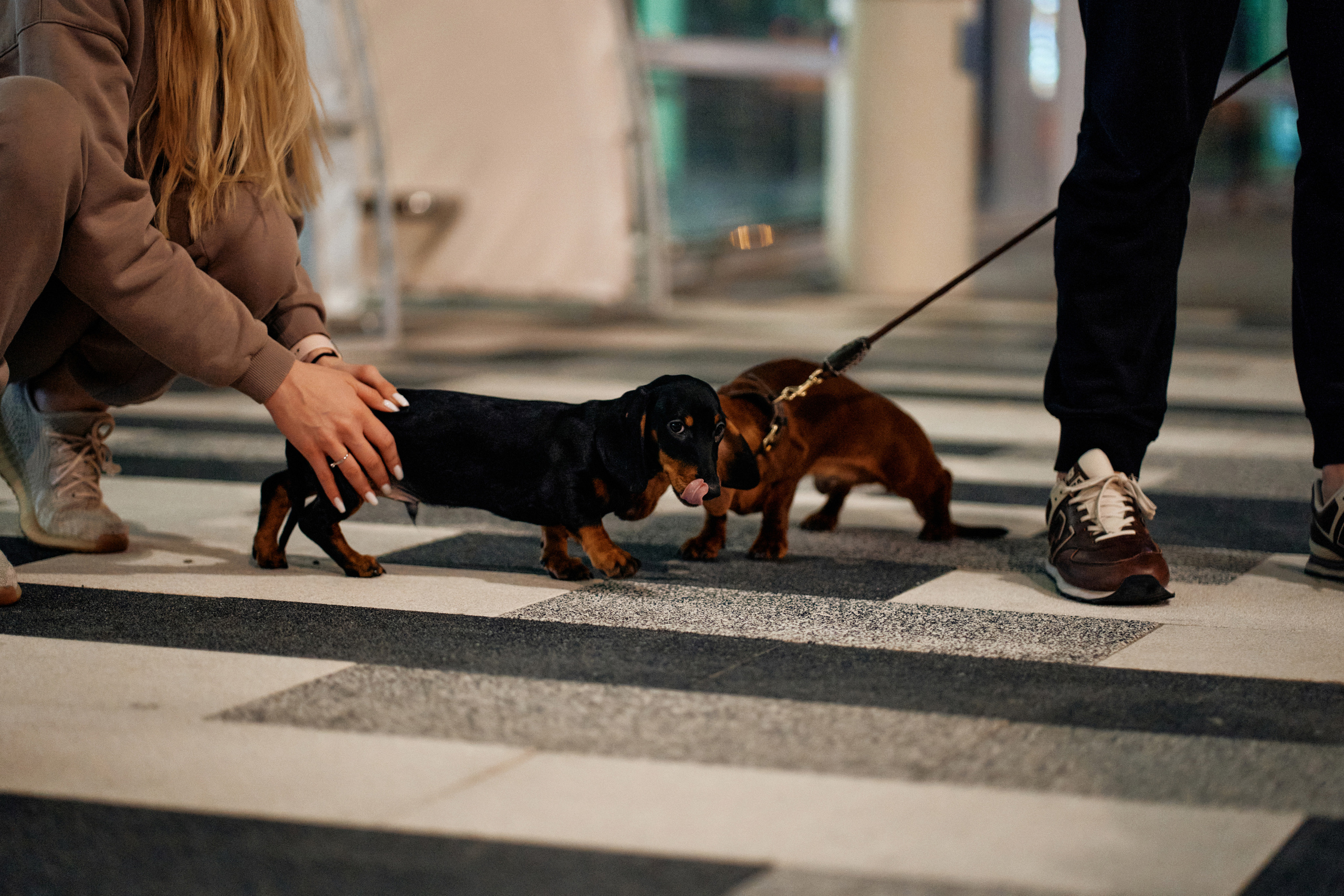 Свадебный фотограф Ростов-на-Дону Краснодар Москва Петербург. Свадебный фотограф в Ростовe-на-Дону Анастасия Прутова