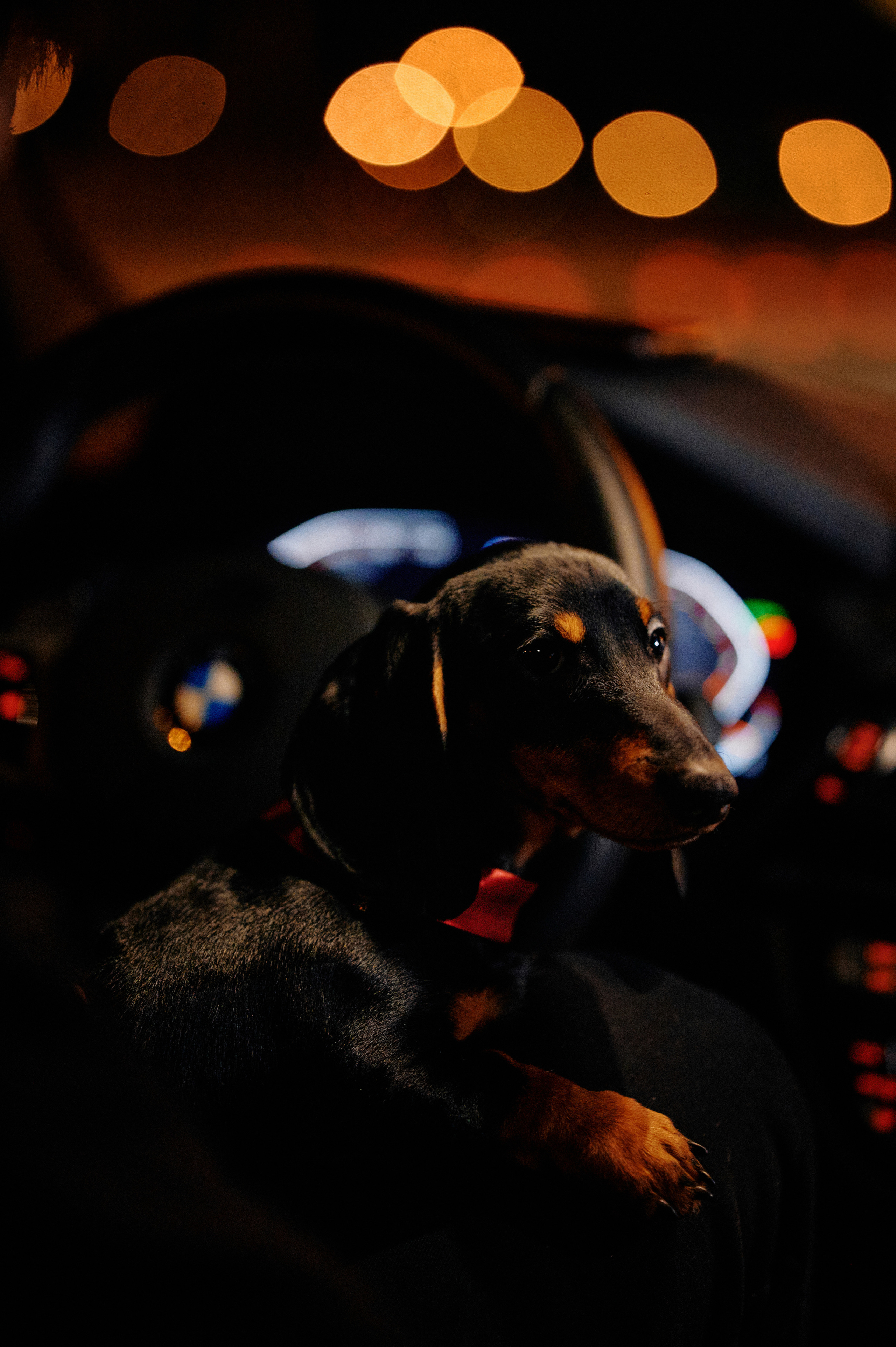 Свадебный фотограф Ростов-на-Дону Краснодар Москва Петербург. Свадебный фотограф в Ростовe-на-Дону Анастасия Прутова