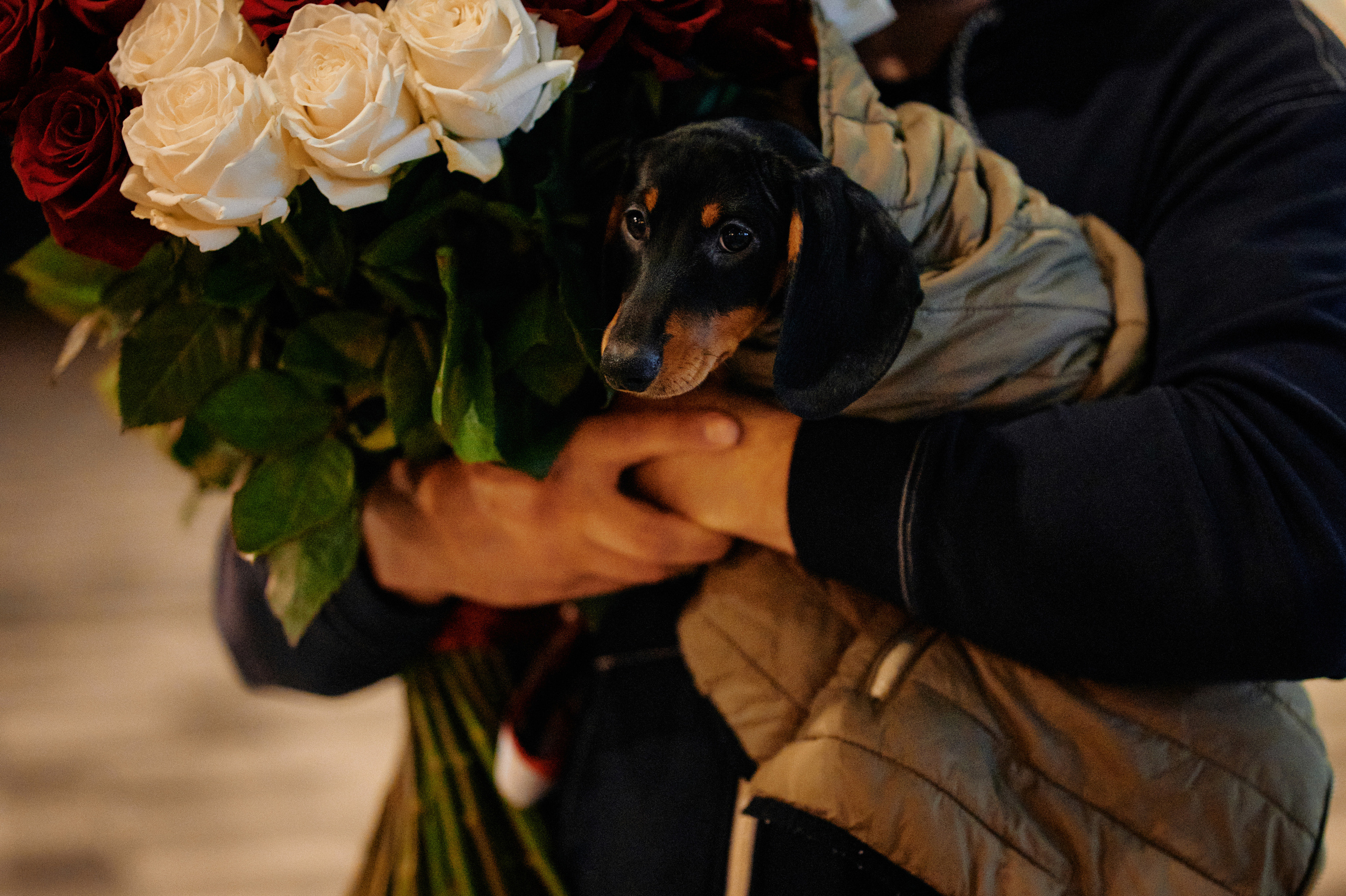 Свадебный фотограф Ростов-на-Дону Краснодар Москва Петербург. Свадебный фотограф в Ростовe-на-Дону Анастасия Прутова