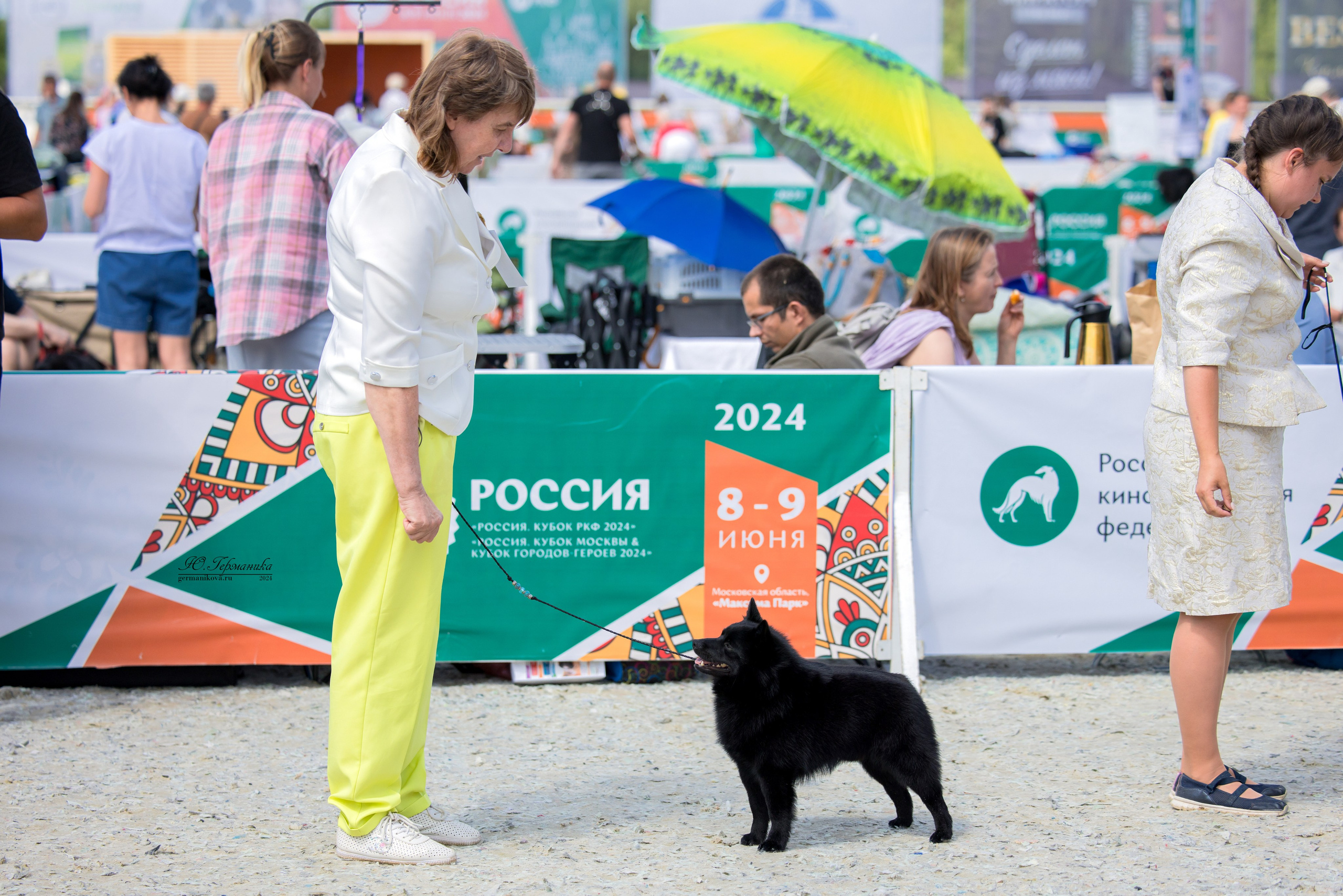 РОССИЯ 8-9.06.2024. Фотограф-анималист Юлия Германика