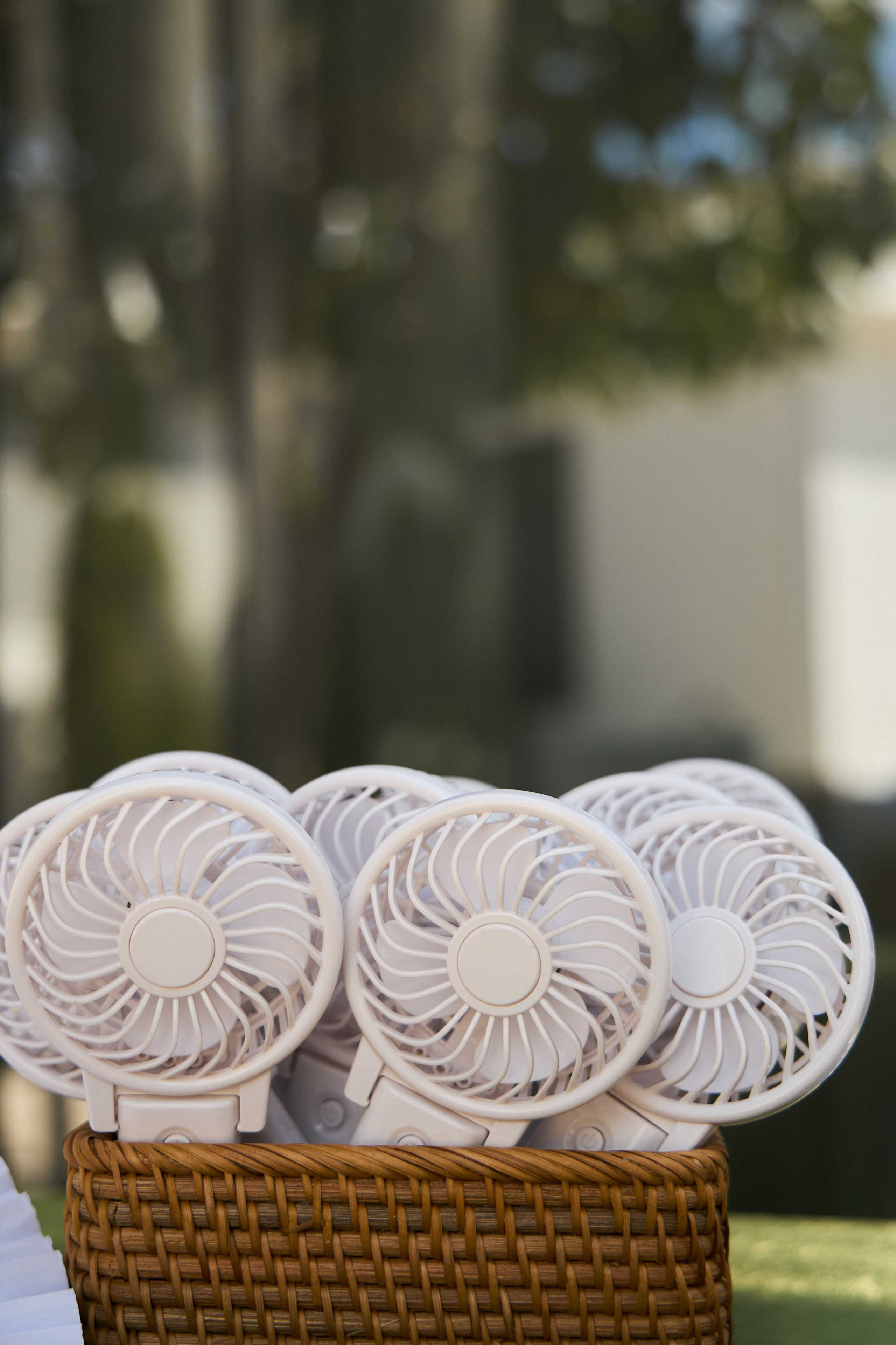 Wedding day | Вячеслав и Карелия