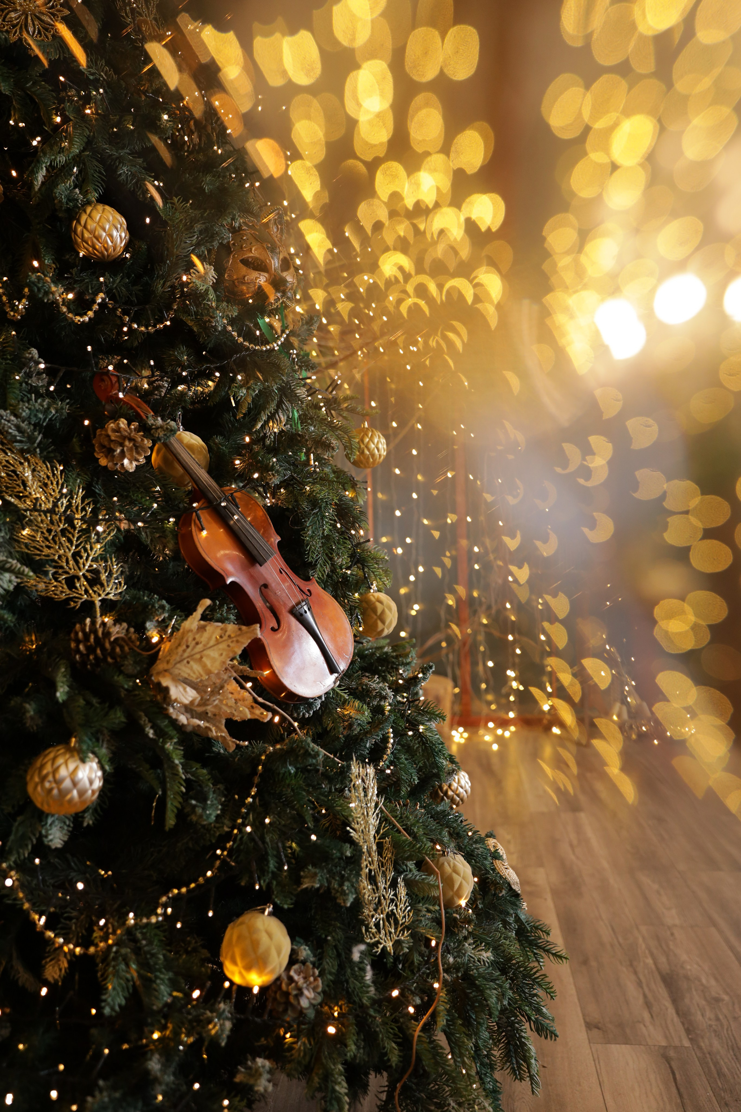 Фотостудия «Роял» зал Теплица. Свадебный фотограф в Ростове Александра Груздева