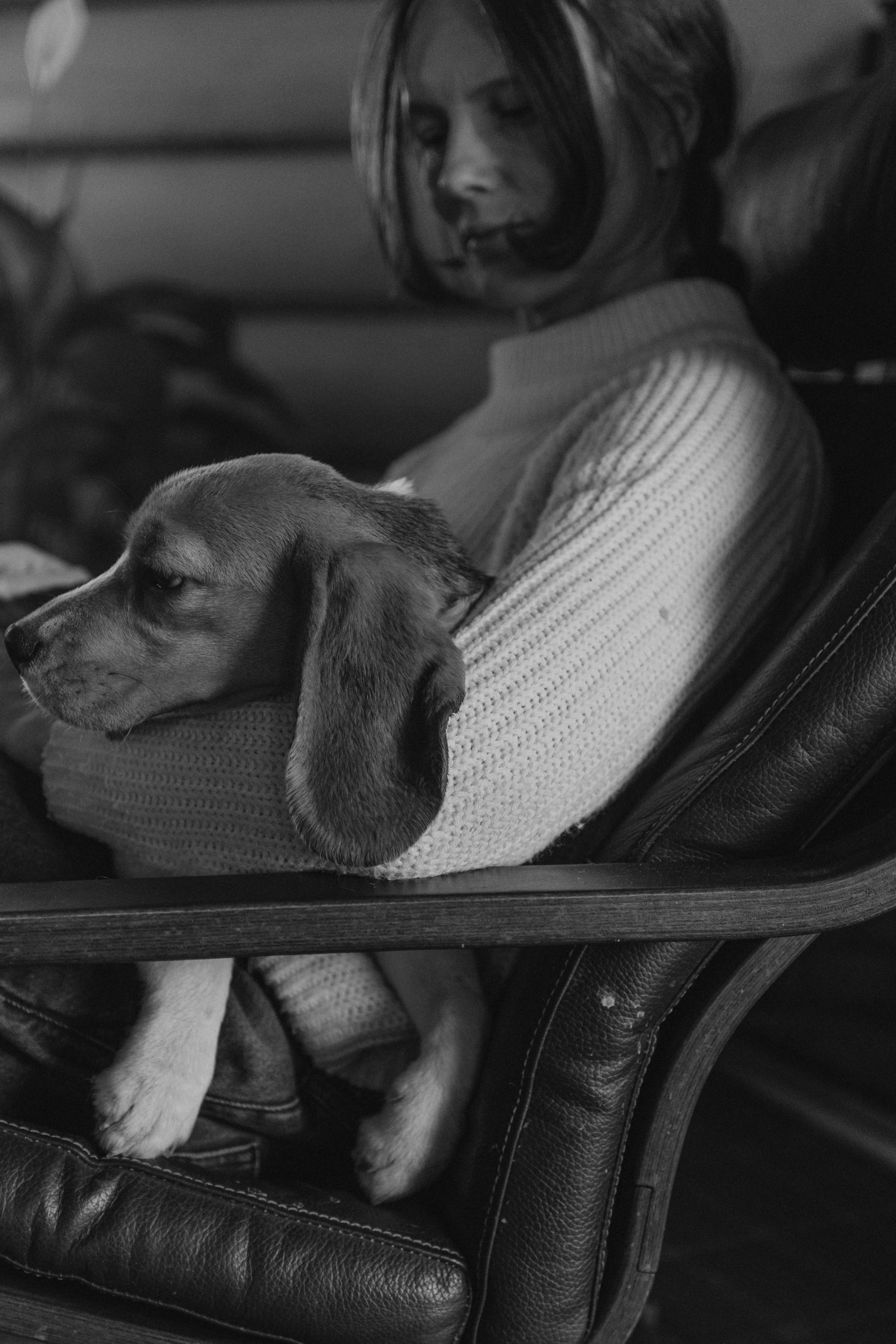 Маша, бигль Вера и её ферма. Семейный фотограф в Москве Алёна Чача