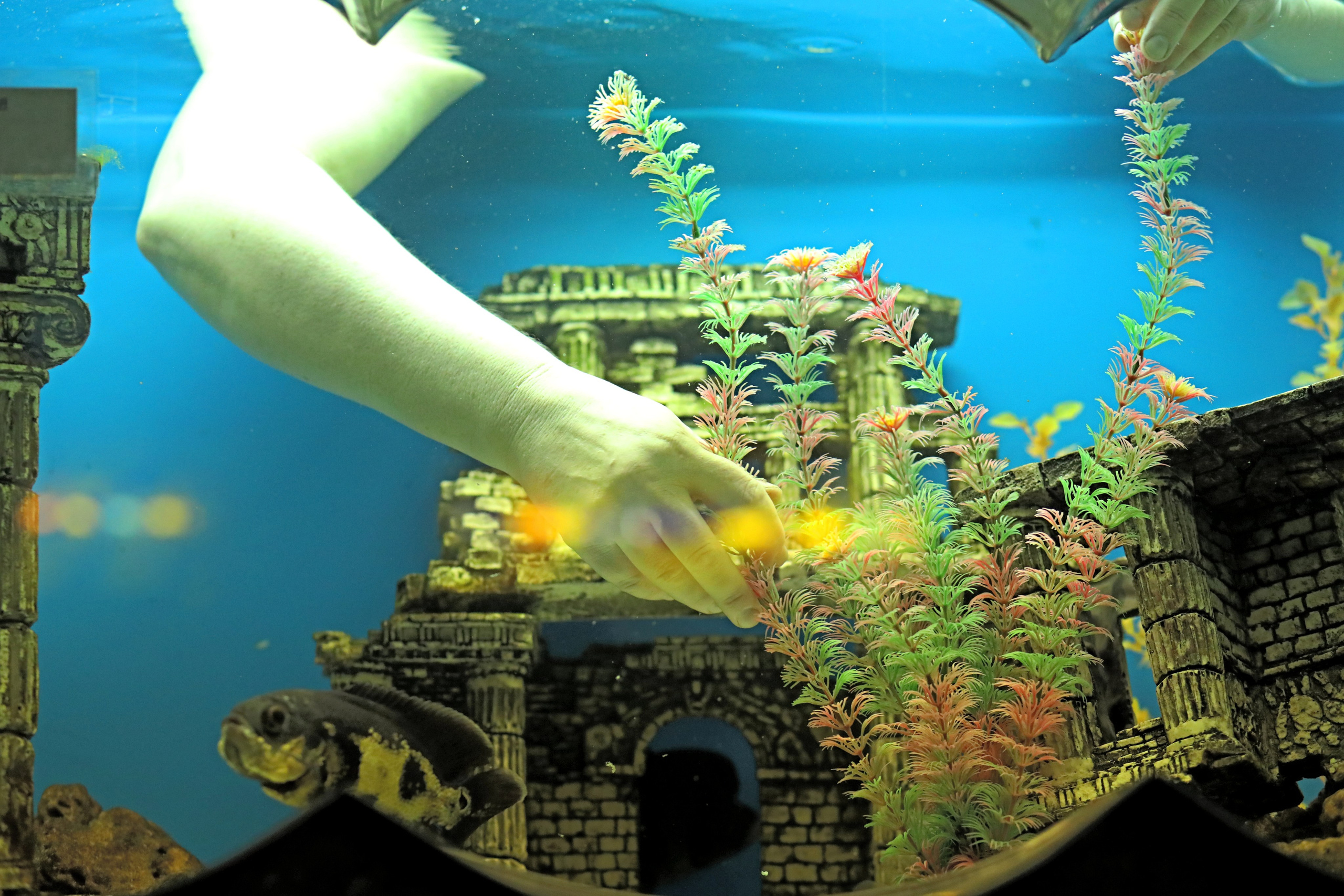 Ростовский зоопарк. Фото-художник и Репортажный фотограф Николаев Александр Алексеевич