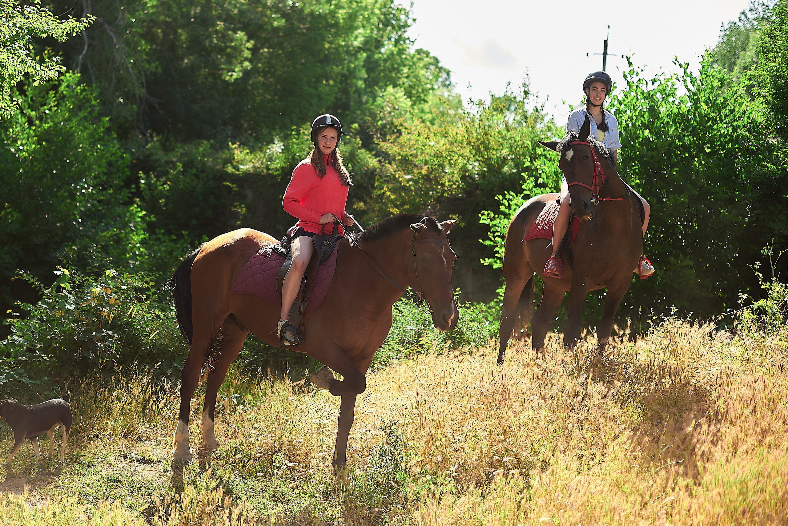 Поход к акведуку. Фотограф в Севастополе