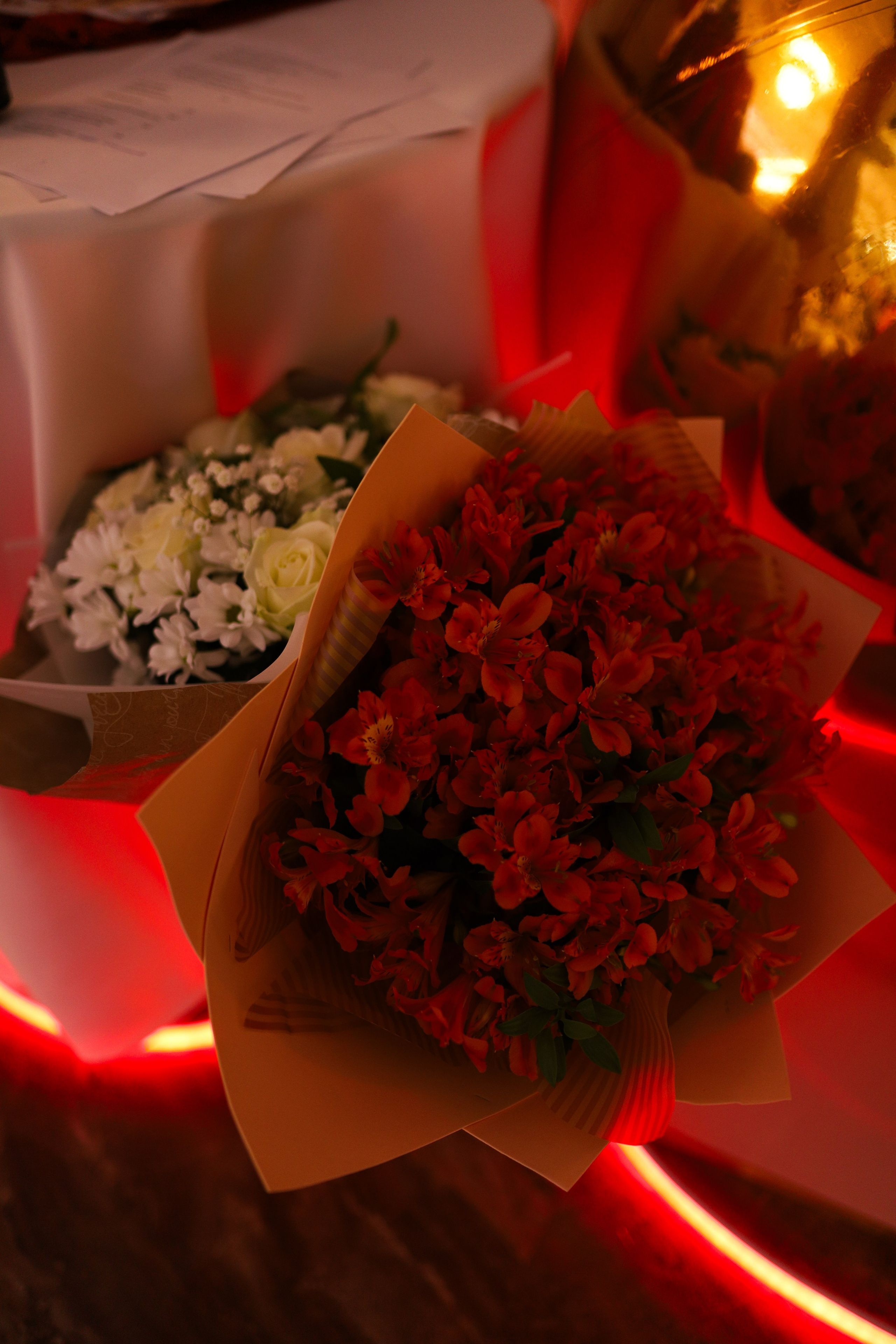 Роскошный вечер Наталии Карамянц