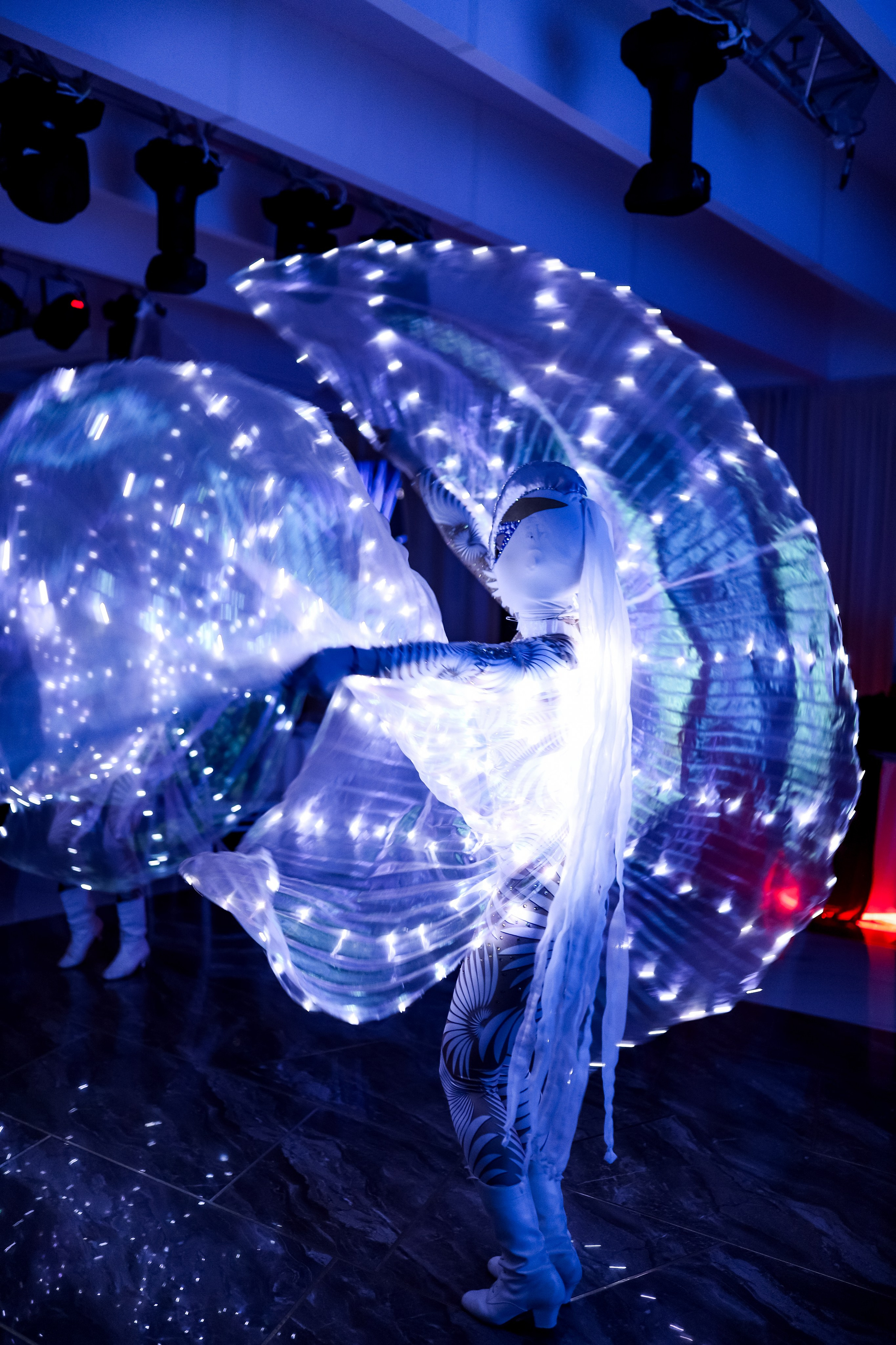 Роскошный вечер Наталии Карамянц