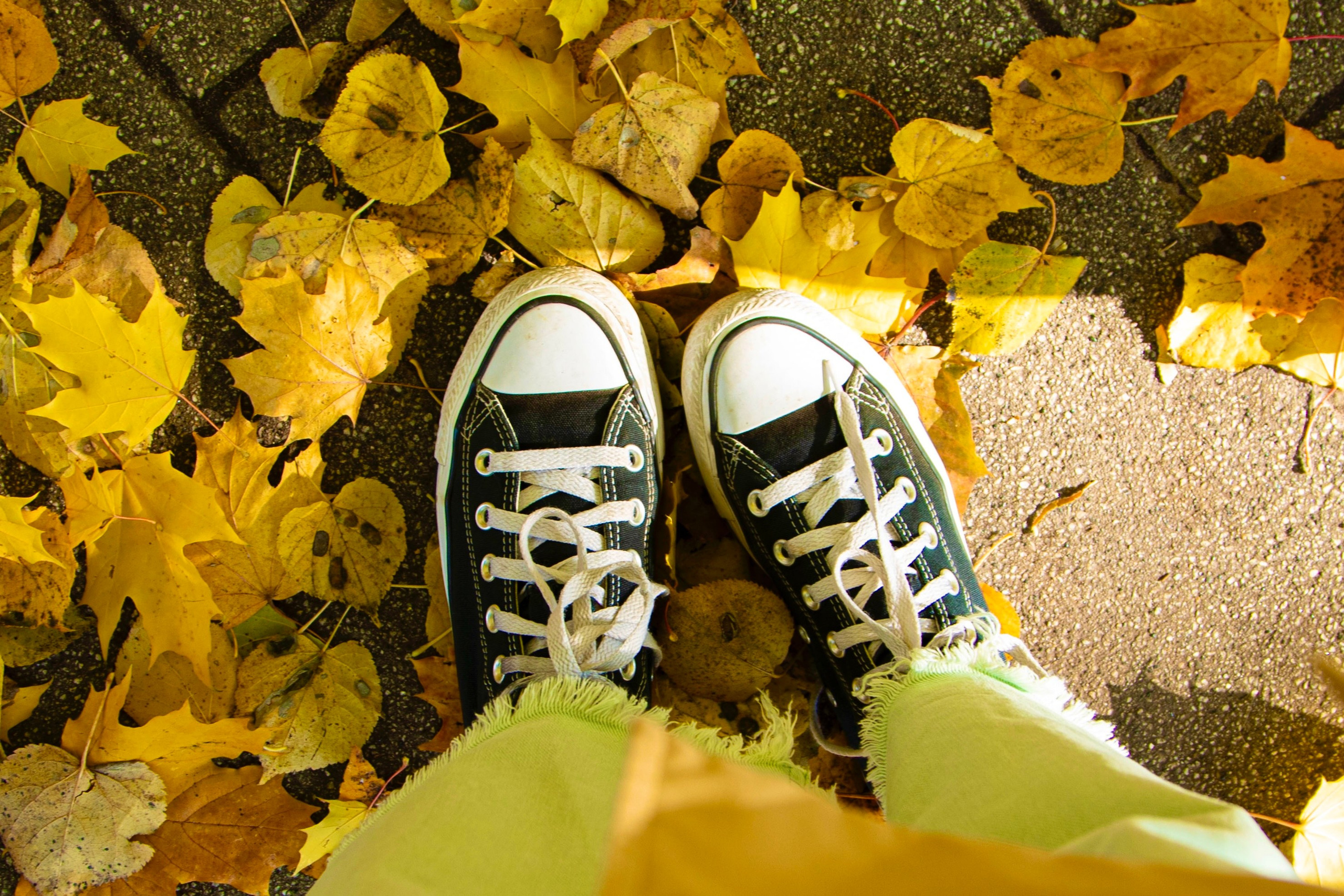 Про жизнь. Фотограф Сергей Ловкий