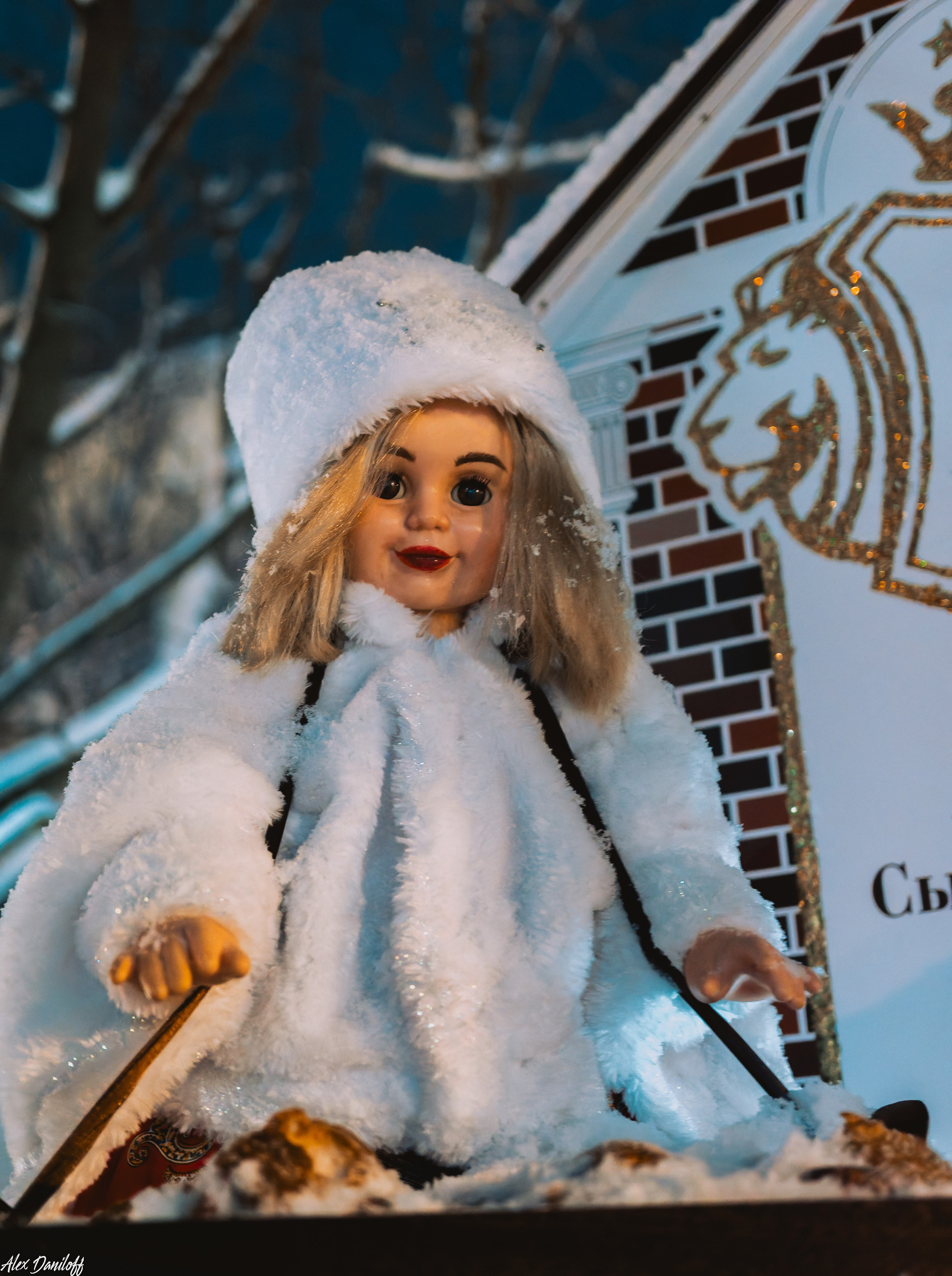 Елки 2025. Муром-Инфо. Новости культуры, образования, спорта в городе Муром