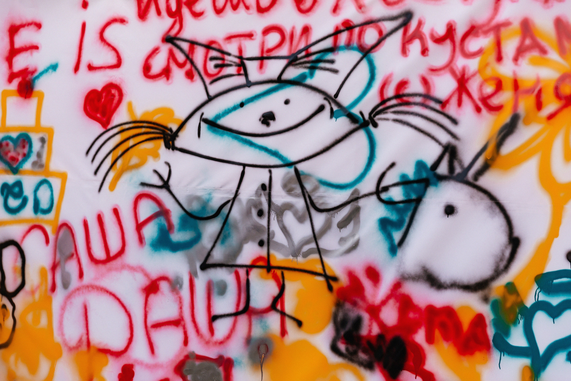 21.07.21 Даша и Саша Витебск