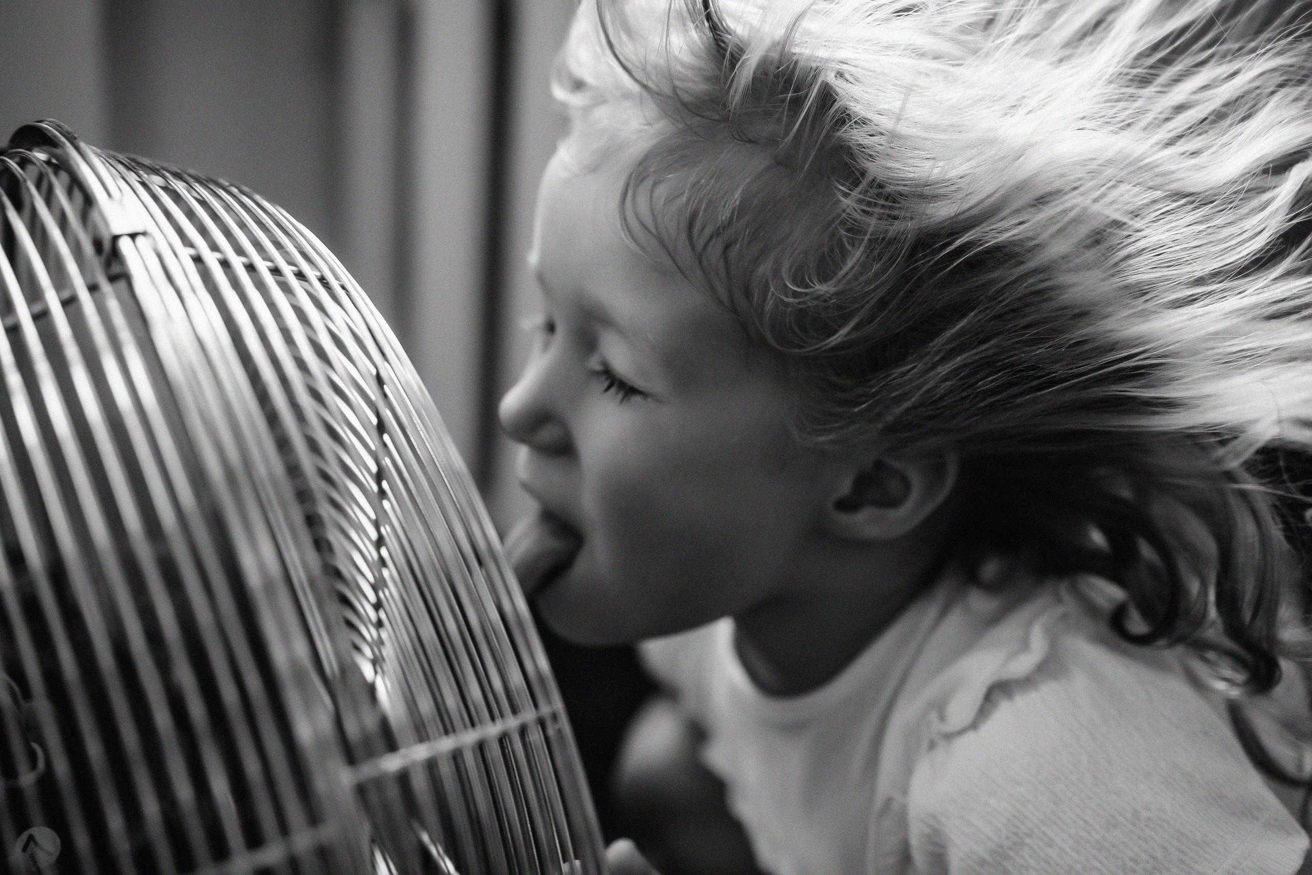 Фотостудия Индор