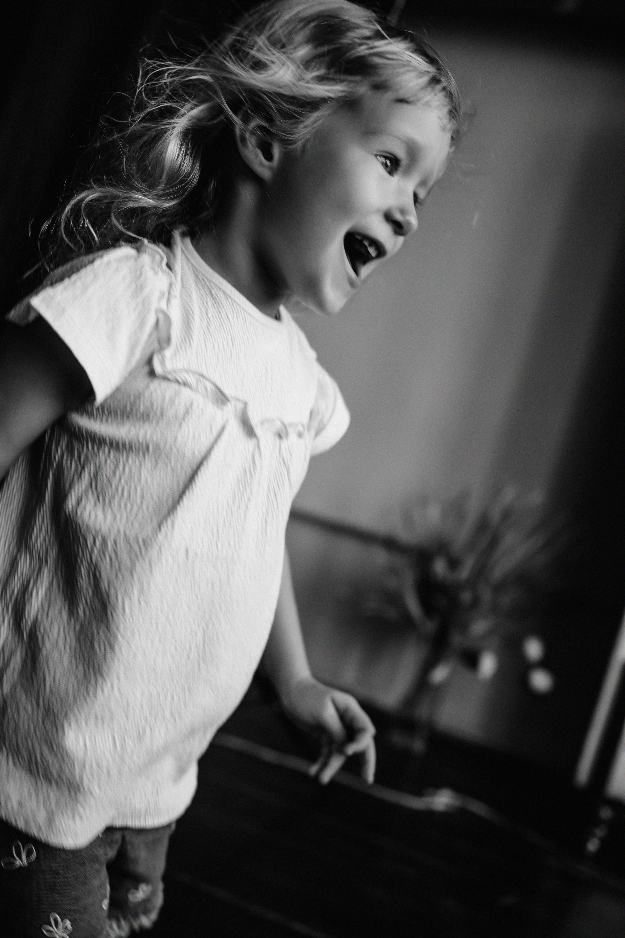 Фотостудия Индор