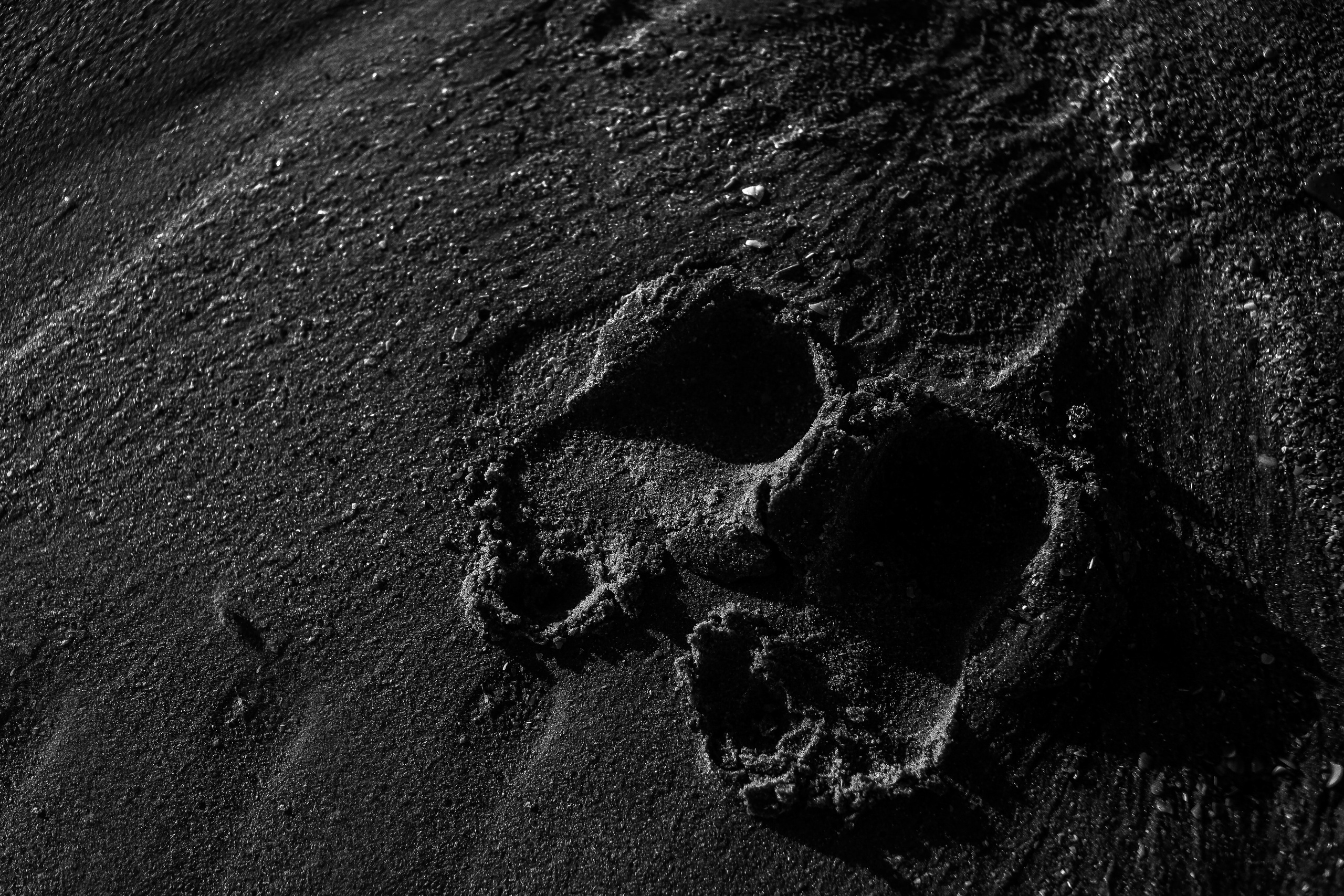 Анапа ЮгРа. Свадебный и семейный фотограф/видеограф в Краснодаре Наталья Осинская