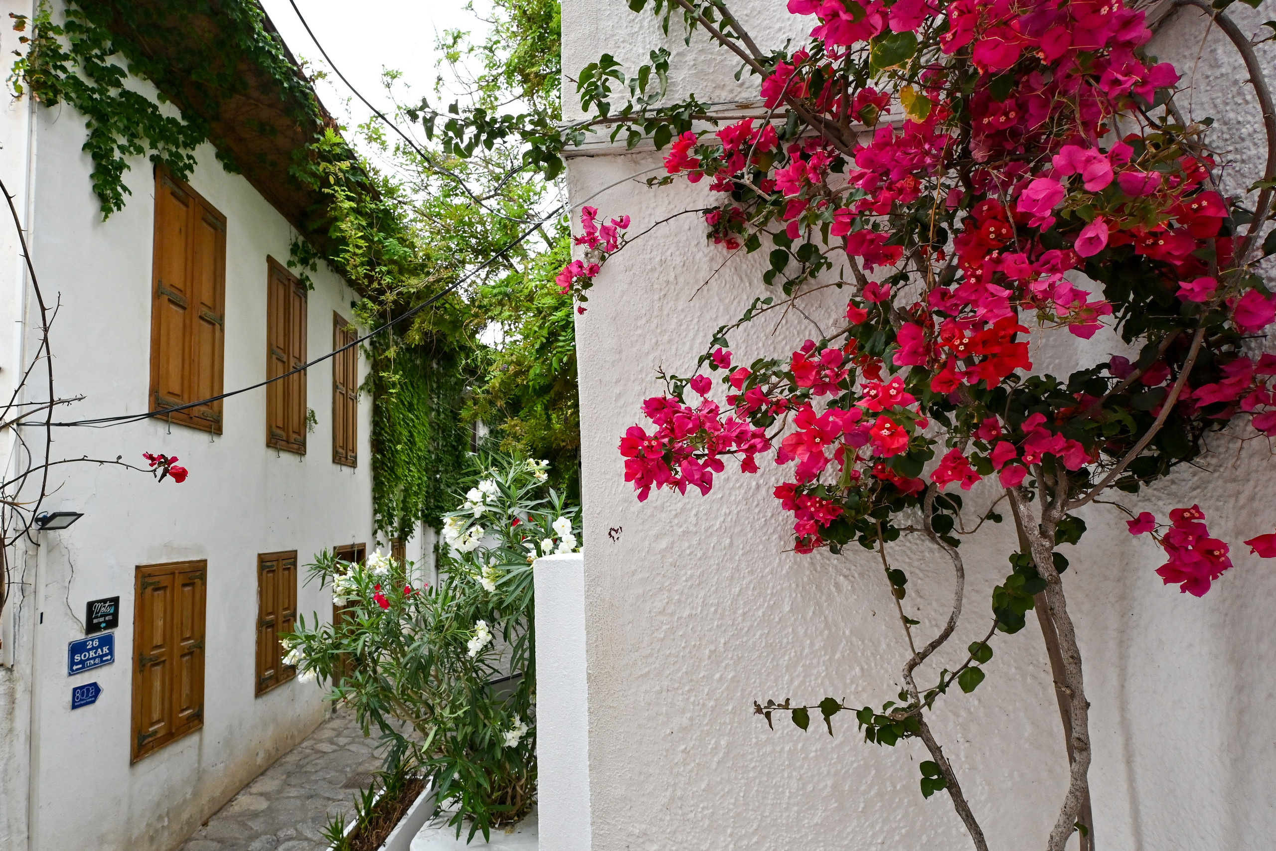 Тревел фото