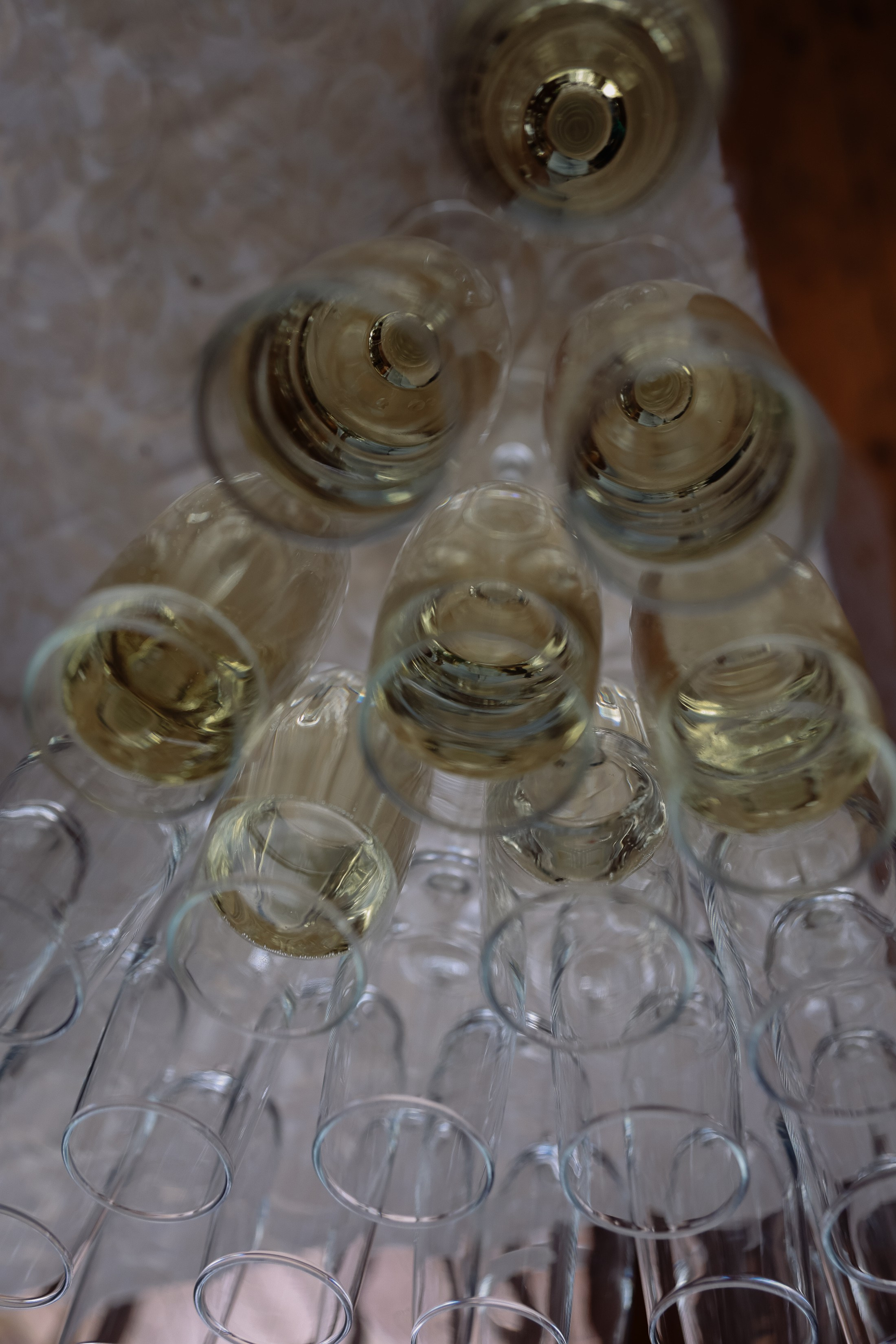 Корпоратив Комплект-Айс в Борвихе. Фотограф Юлия Мальцева