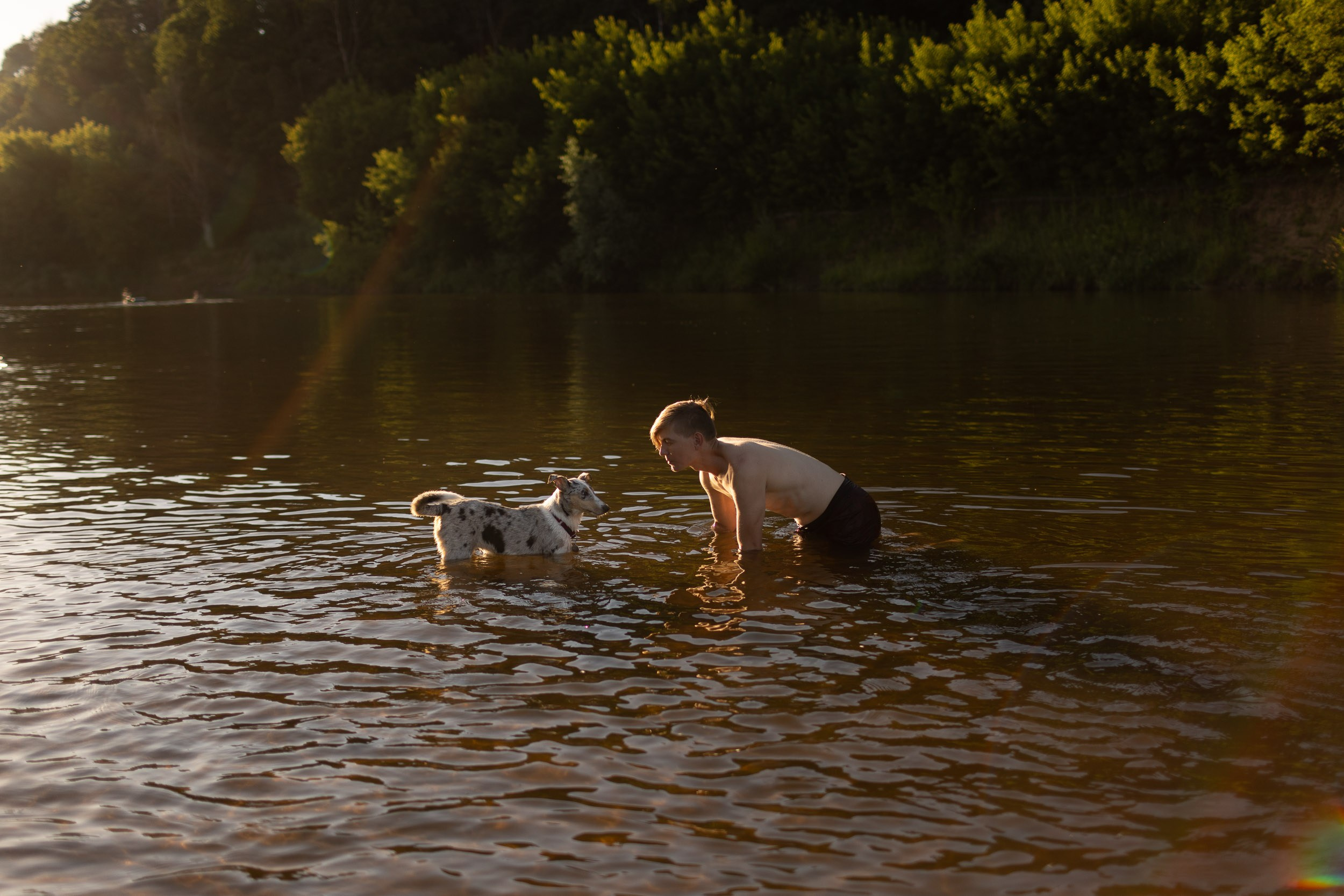 Купание щенков в стиле лайфстайл. Фотограф-анималист в Москве и Московской области Татьяна Фролова