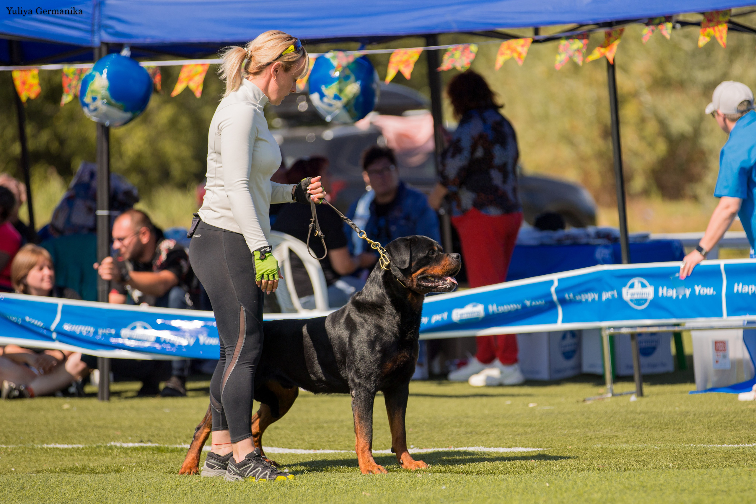 Анапа 16-17.09.2023 моно ротвейлеров. Фотограф-анималист Юлия Германика