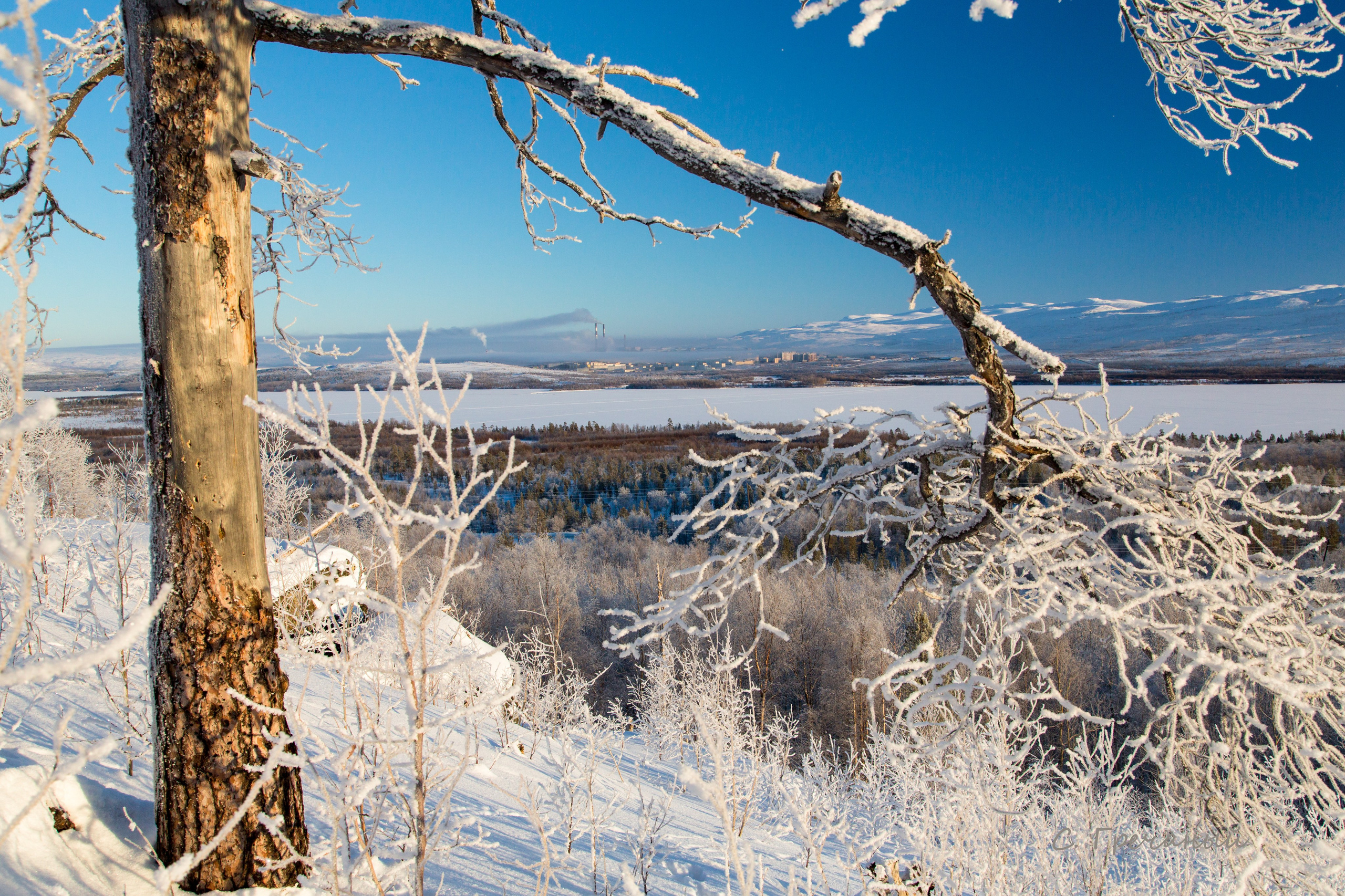 Печенга — край сосновой реки. Пейзажи Крайнего Севера. Баренцево море, Рыбачий, Средний, Немецкий