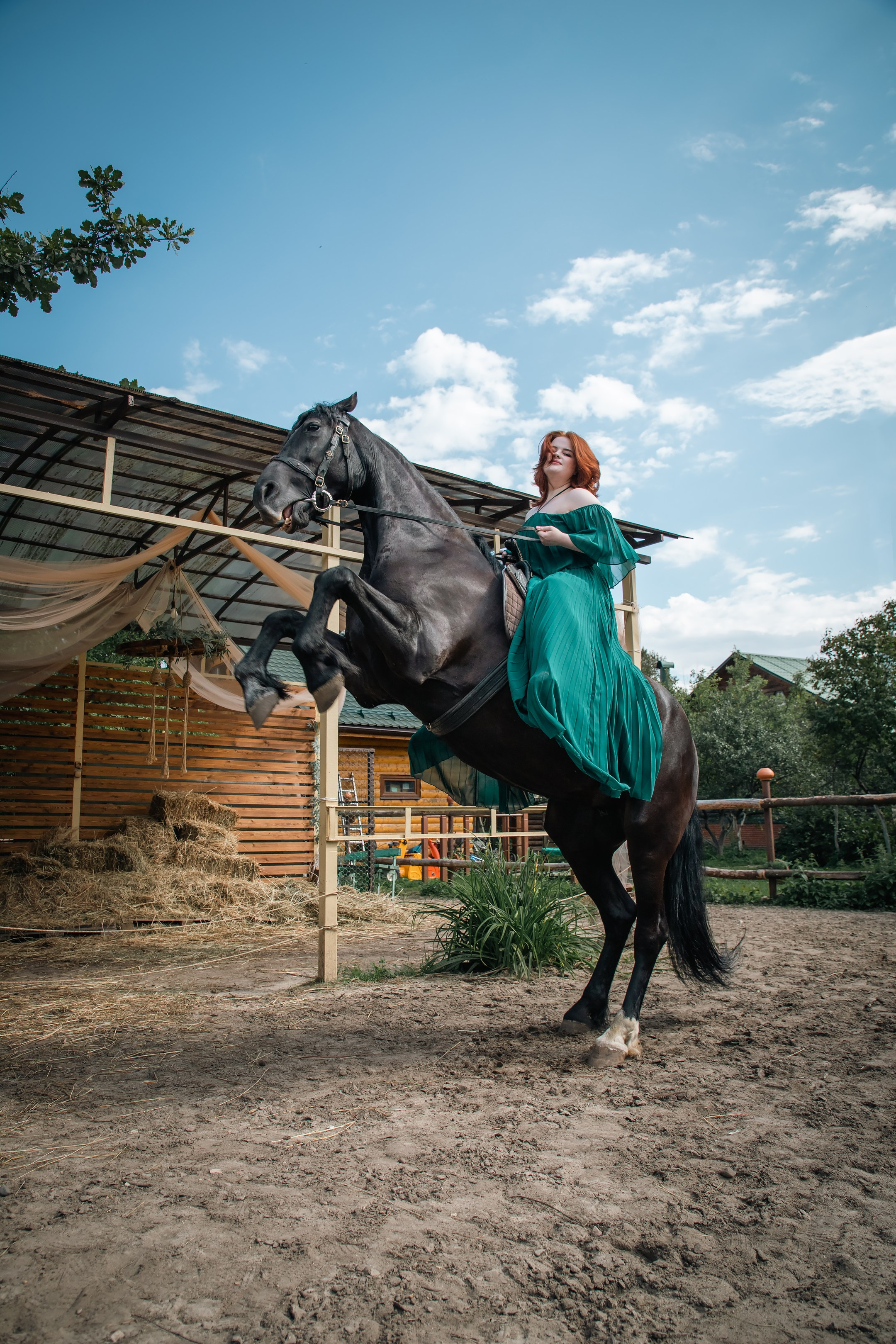 Фотосессия с лошадкой Пенкой