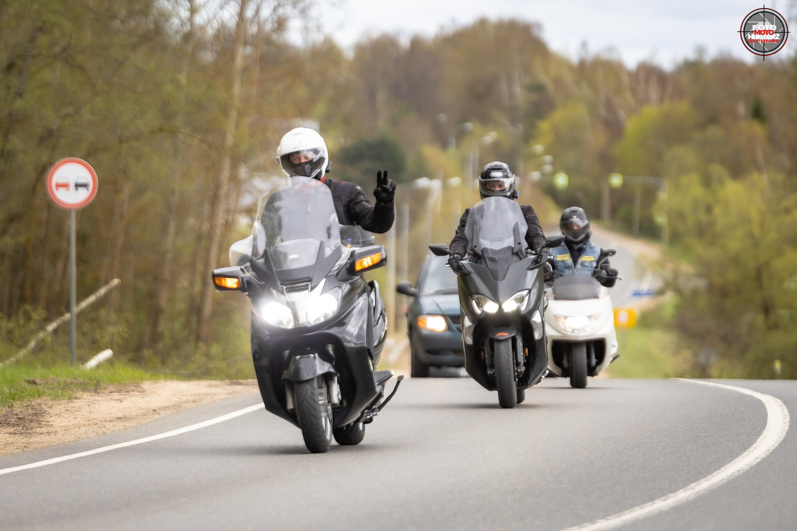 Первое Сафари в 2025 г. на Рогачевском ш. Фотограф Владимир Охрименко