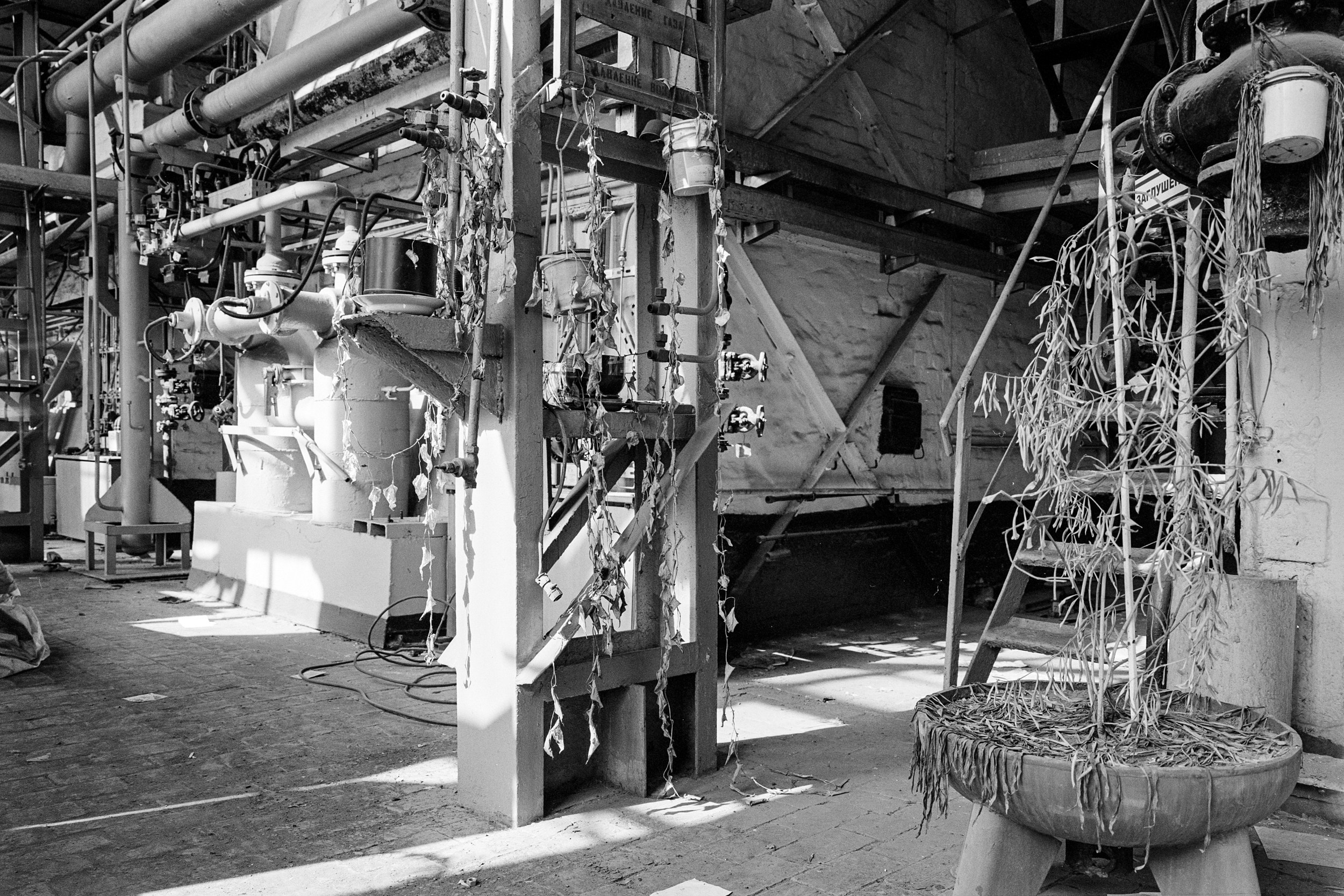 Электроцинк. Igor Volkov