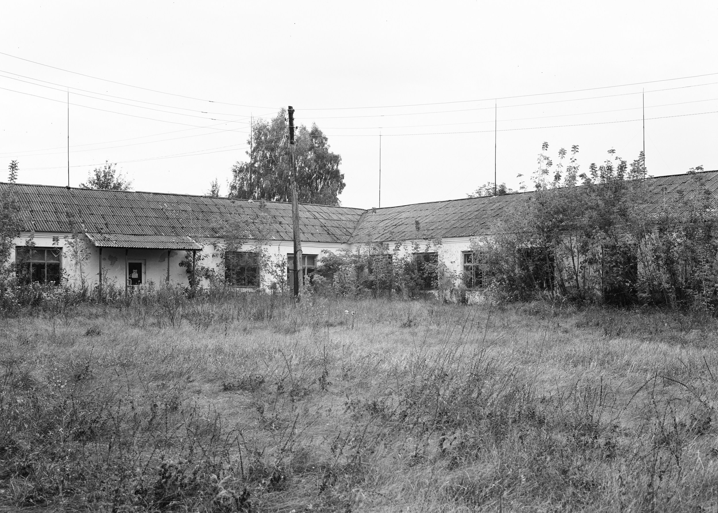 Школы. Igor Volkov