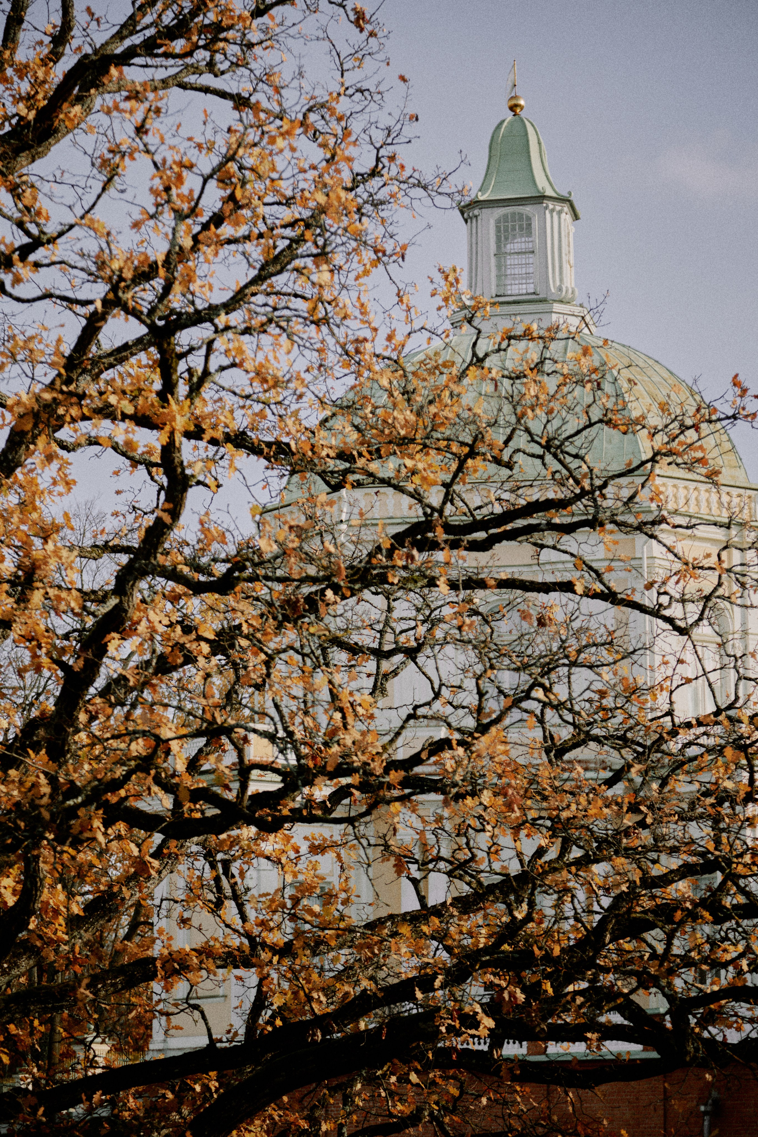 Ораниенбаум. Фотограф Елена Краснопевцева