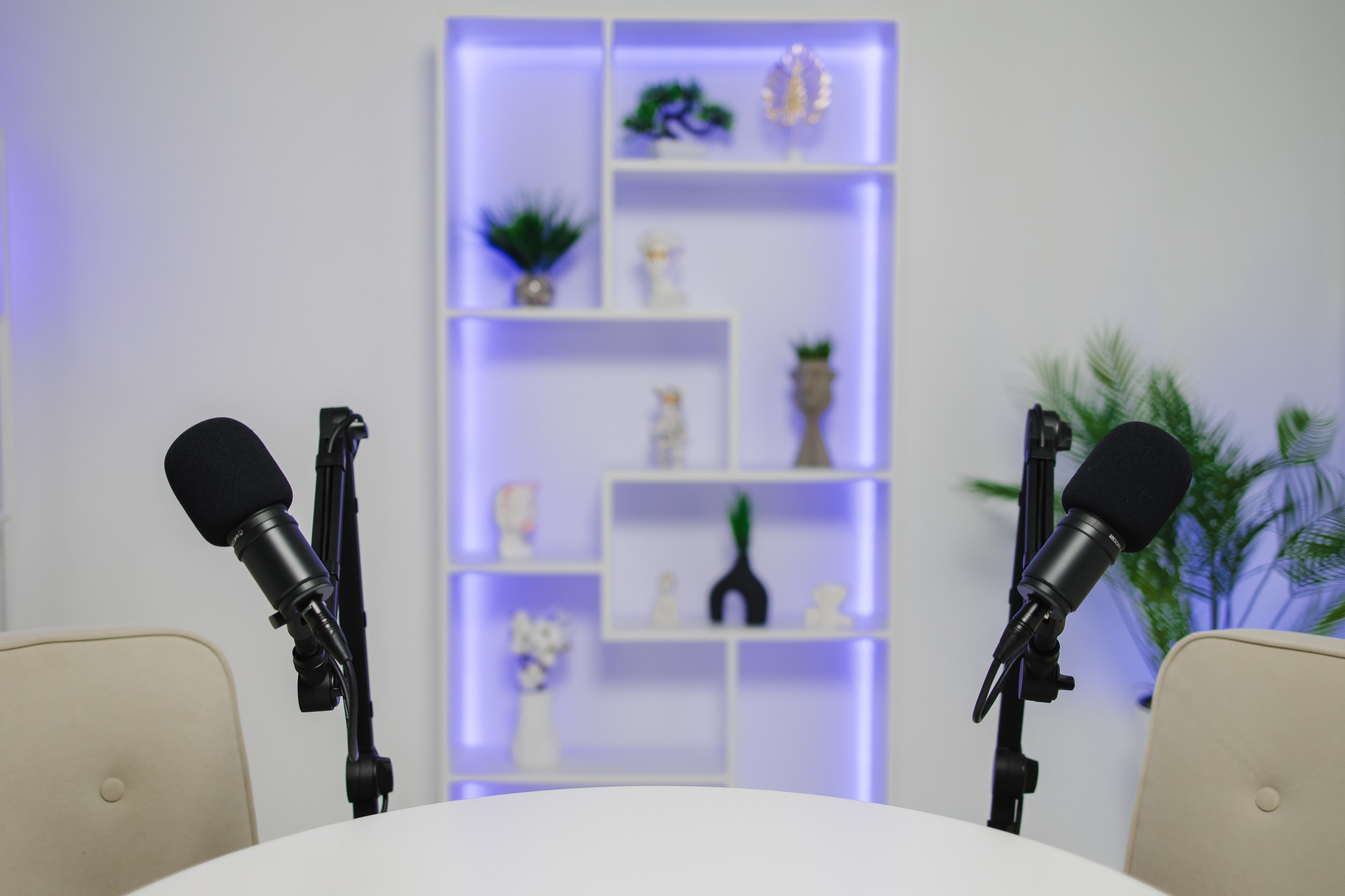 WHITE. Подкасты и прямые эфиры Сочи